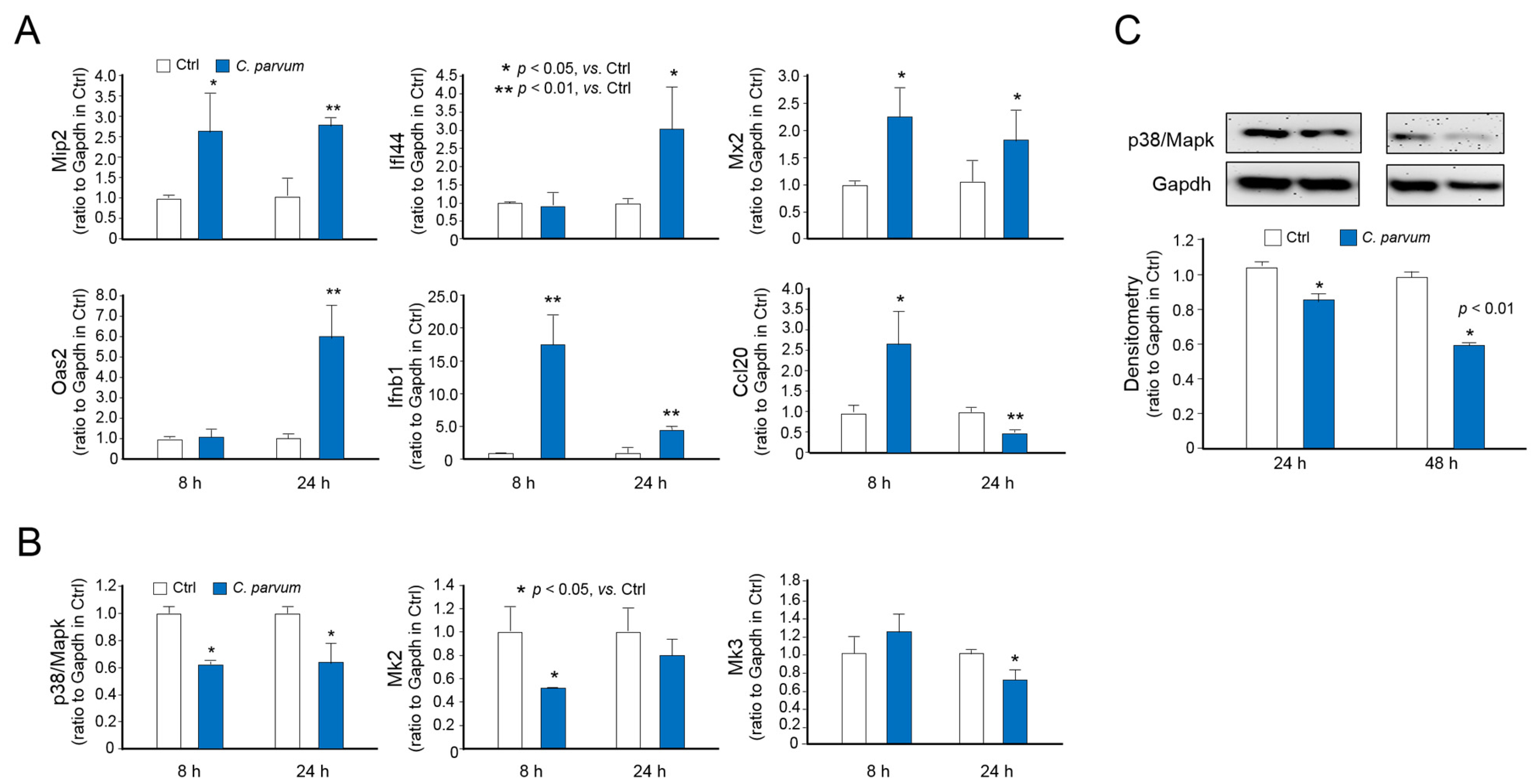 Microorganisms 09 00151 g003 Microorganisms 09 00151 g003