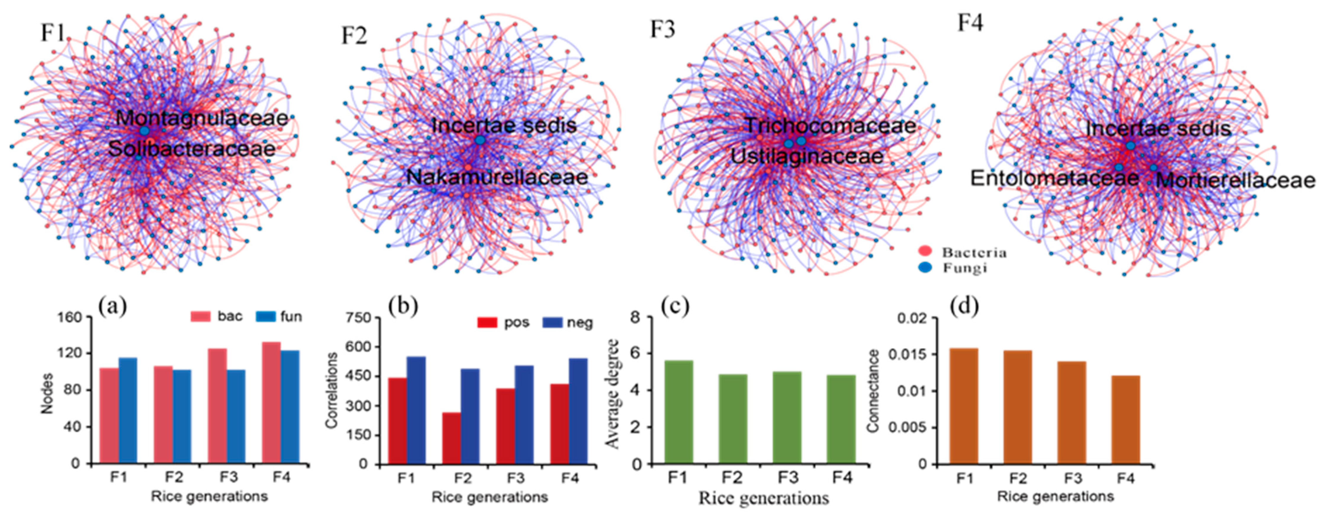 Microorganisms 09 00175 g004 Microorganisms 09 00175 g004