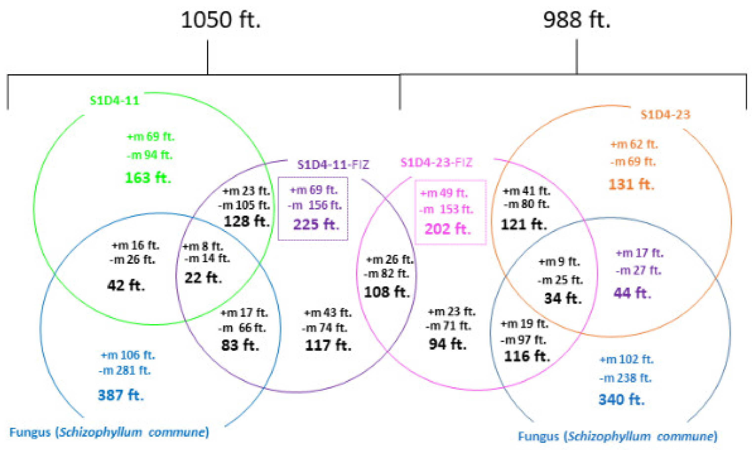 Microorganisms 09 00178 g004