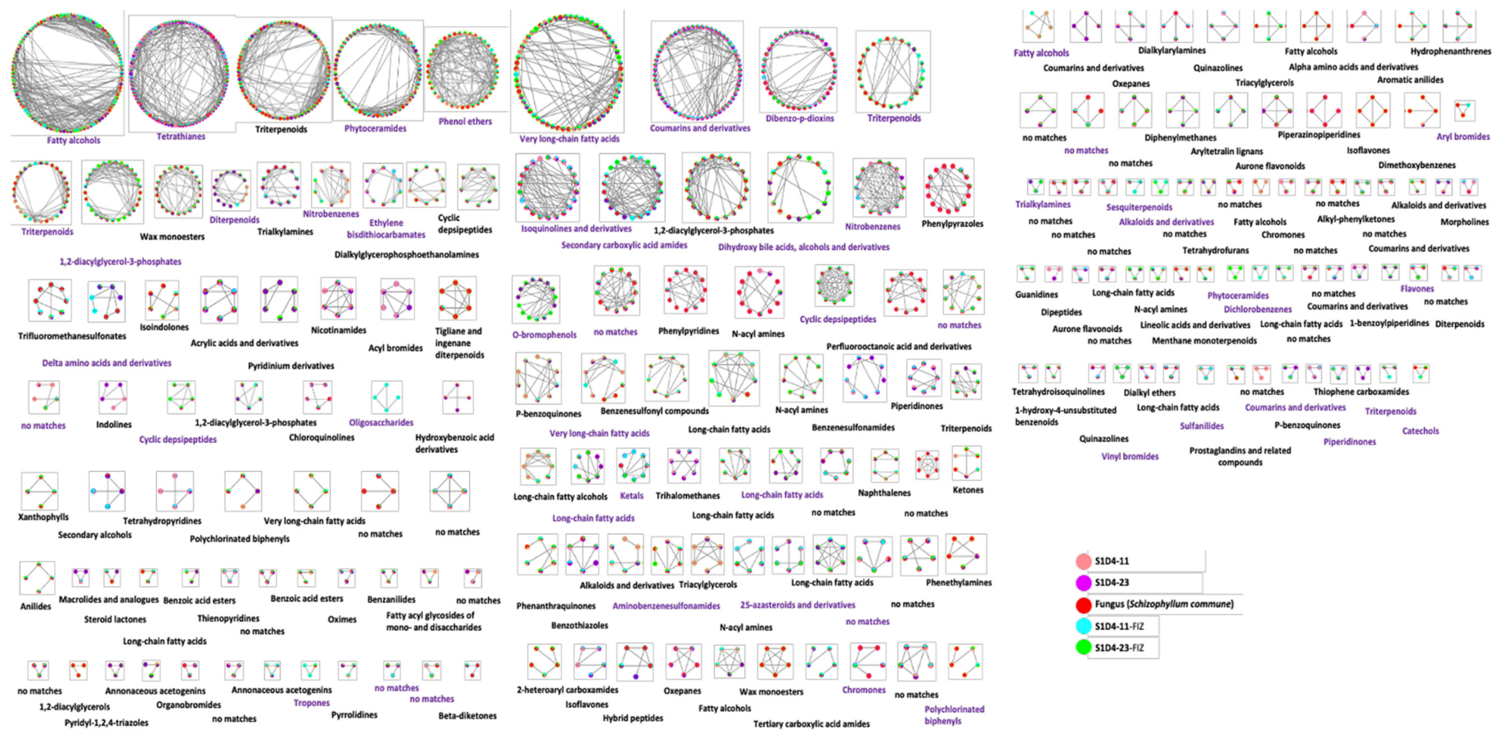 Microorganisms 09 00178 g005