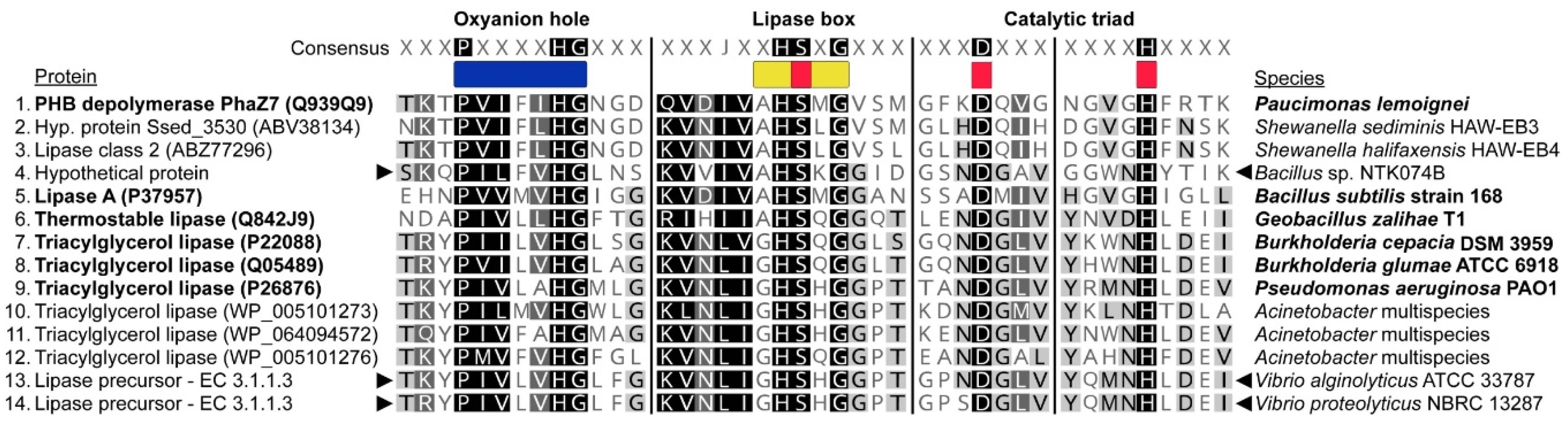 Microorganisms 09 00186 g006 Microorganisms 09 00186 g006