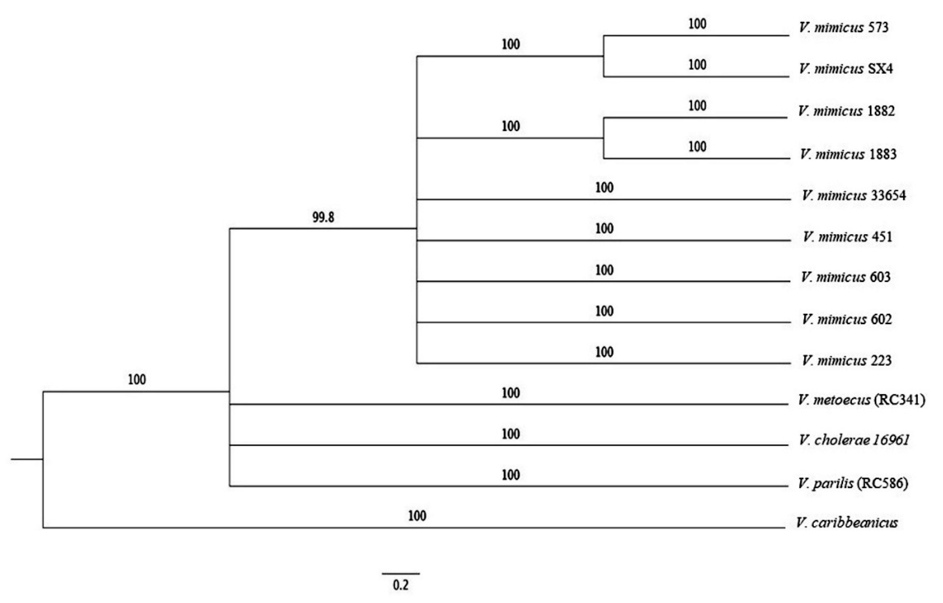 Microorganisms 09 00191 g005 Microorganisms 09 00191 g005