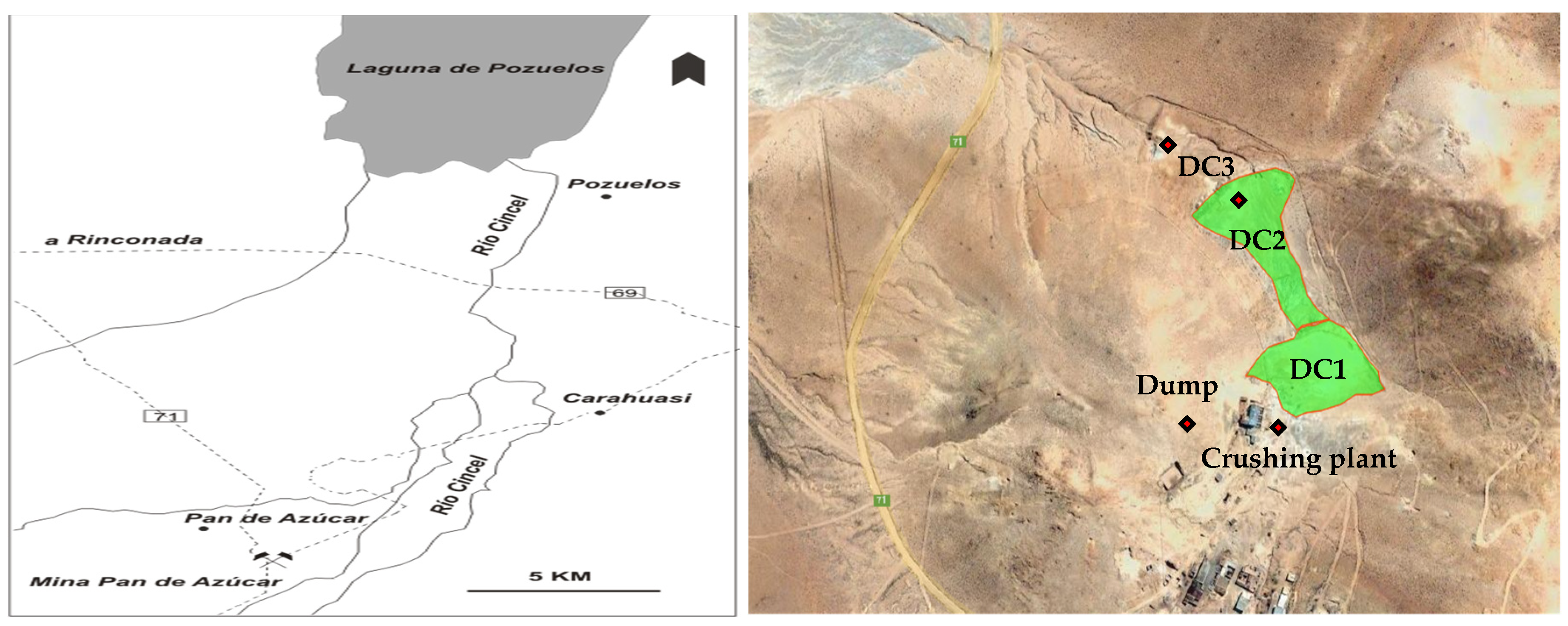 Microorganisms 09 00281 g001 Microorganisms 09 00281 g001