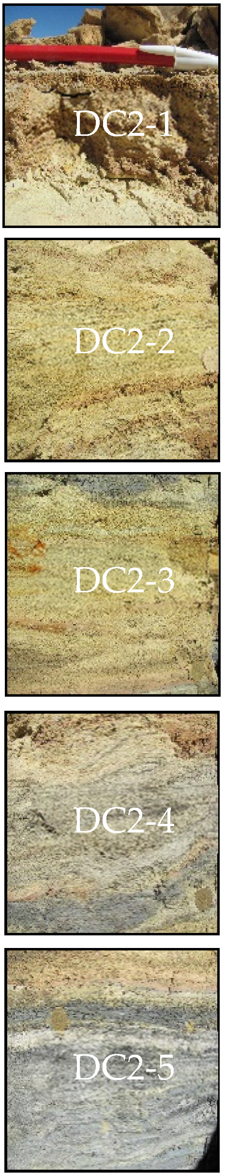 Microorganisms 09 00281 g002 Microorganisms 09 00281 g002