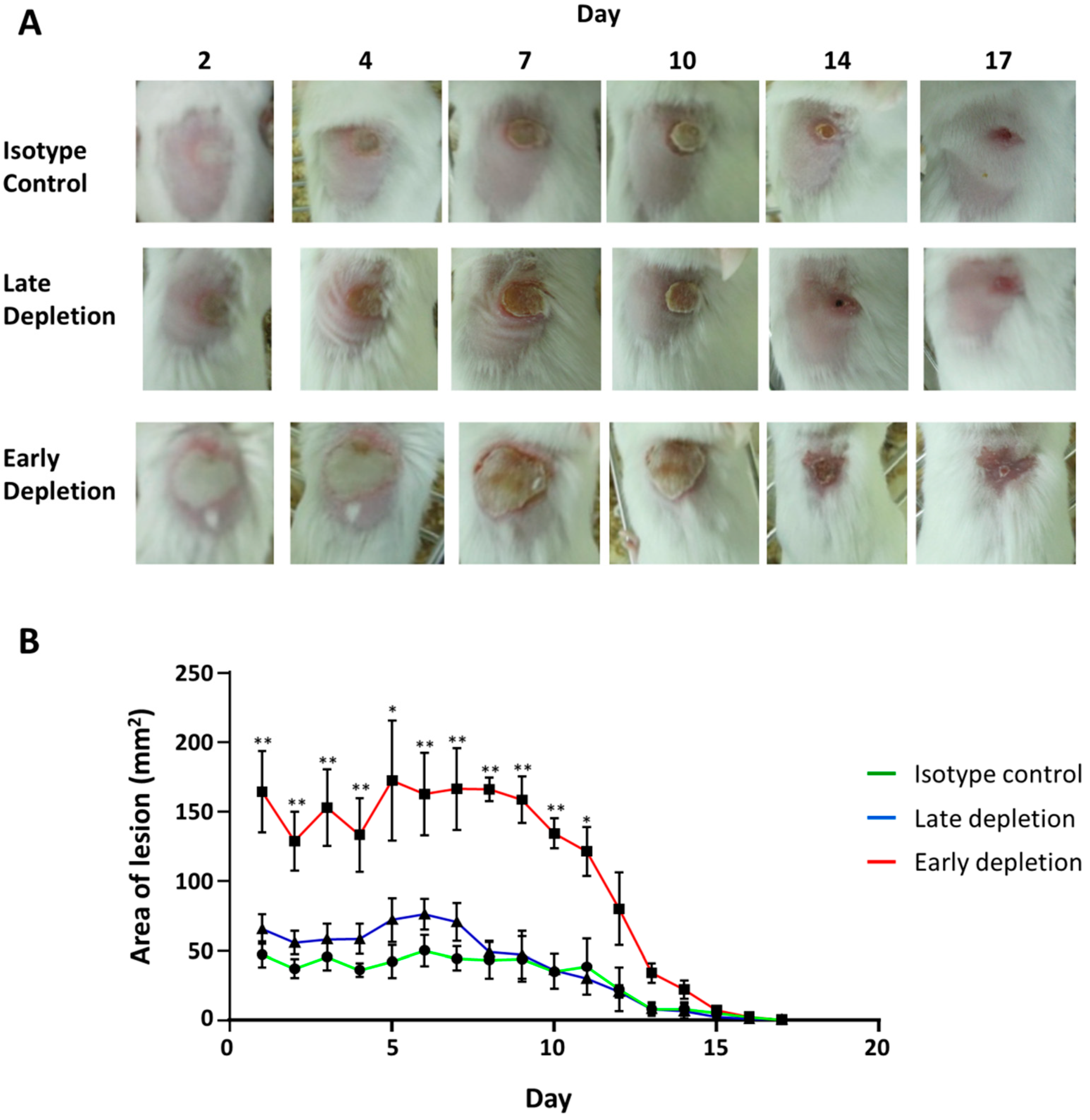 Microorganisms 09 00287 g008 Microorganisms 09 00287 g008