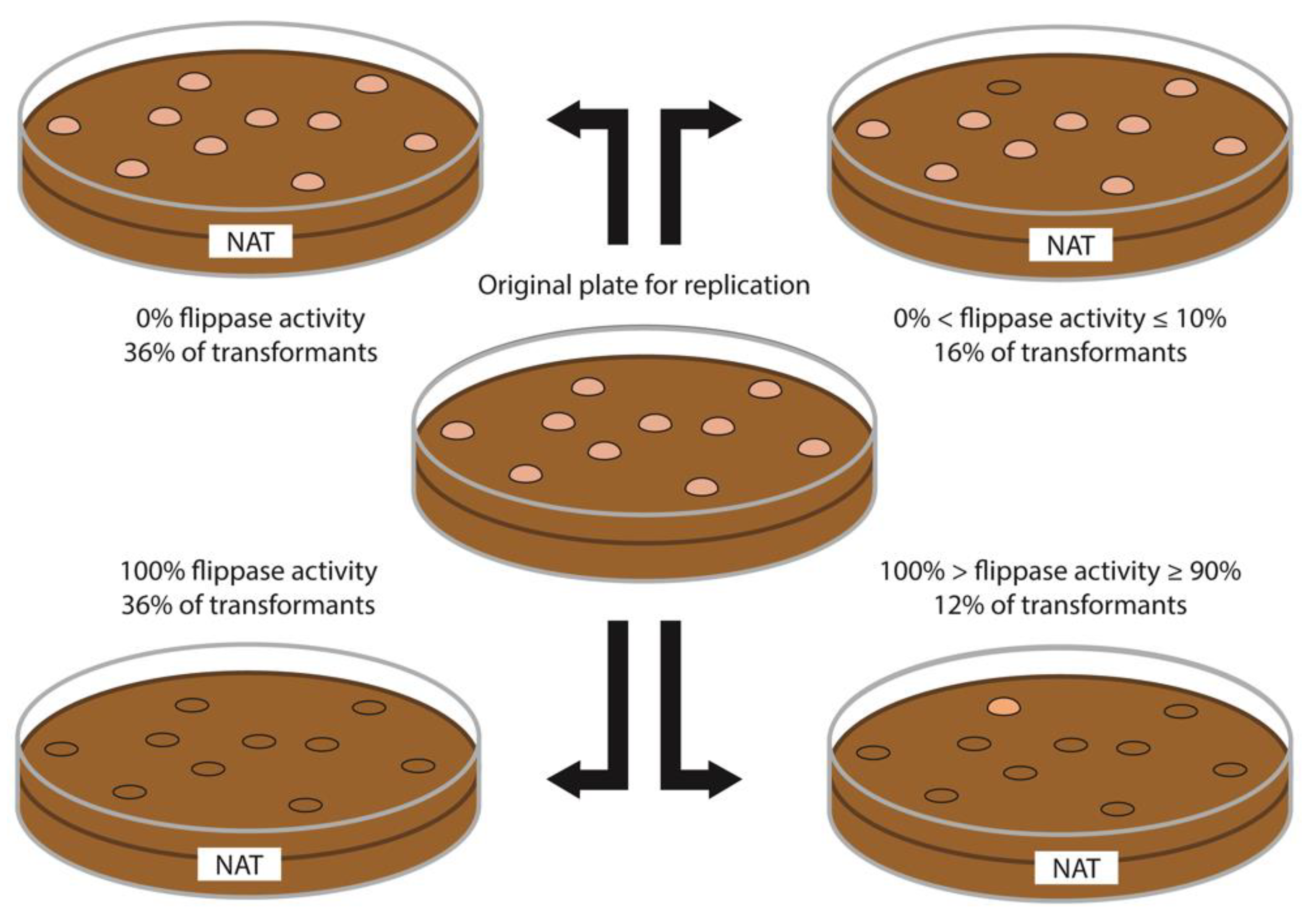 Microorganisms 09 00290 g002