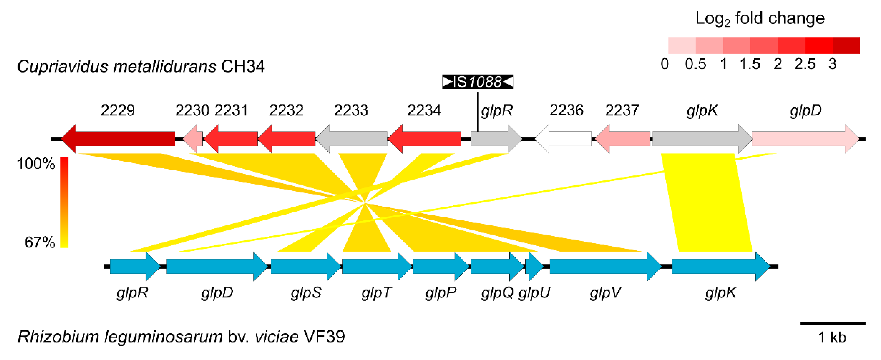 Microorganisms 09 00309 g002