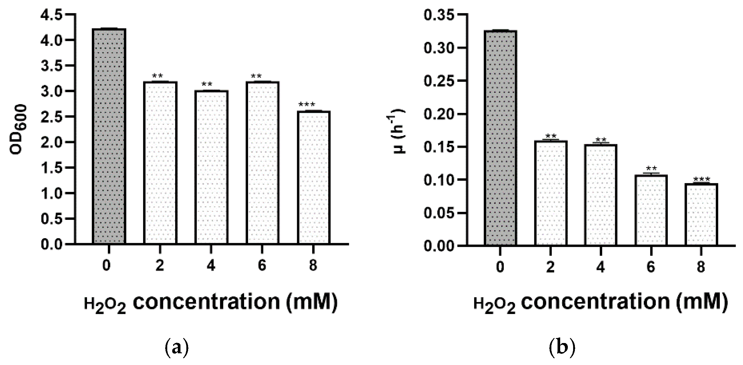 Microorganisms 09 00336 g004