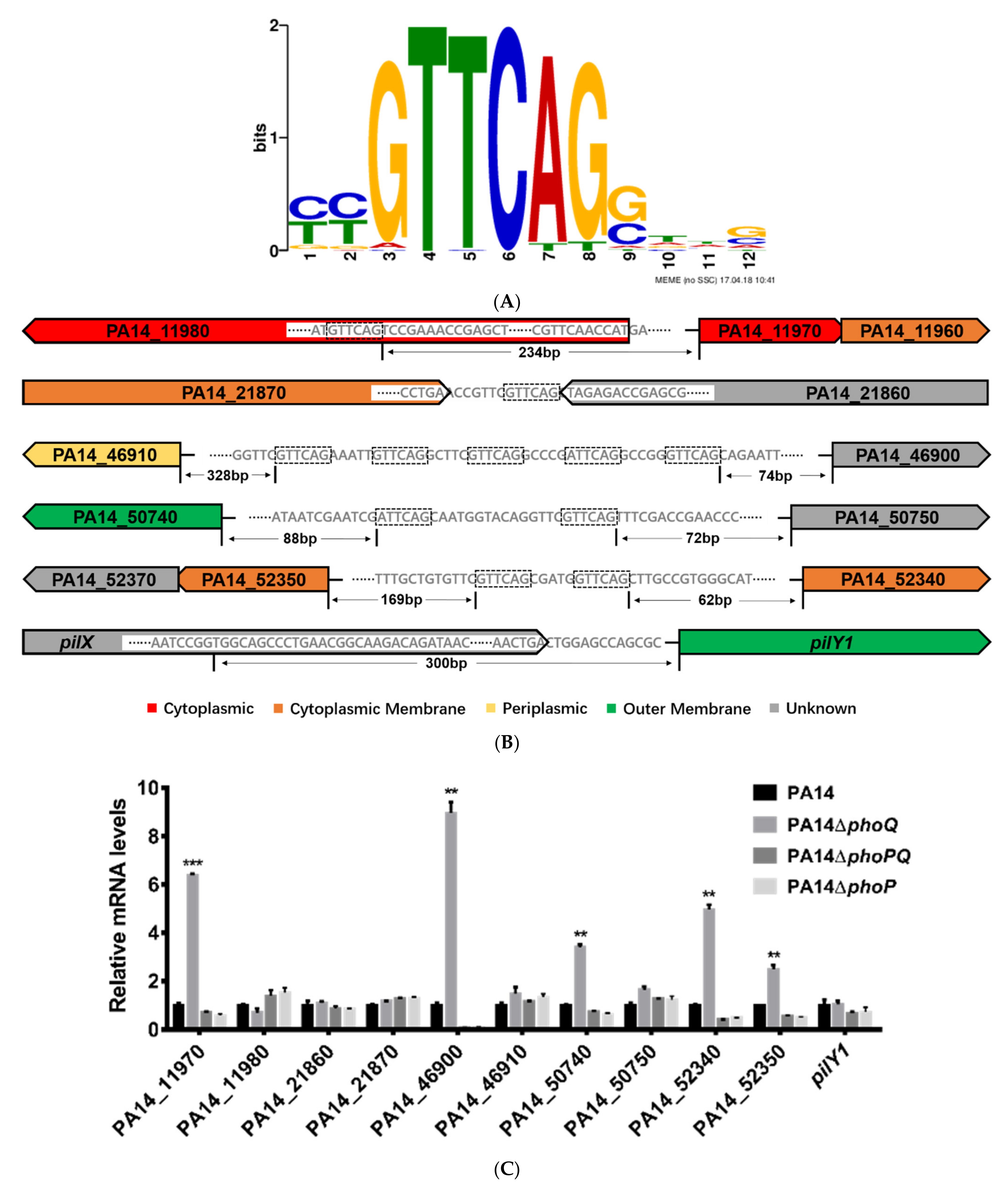 Microorganisms 09 00344 g001a