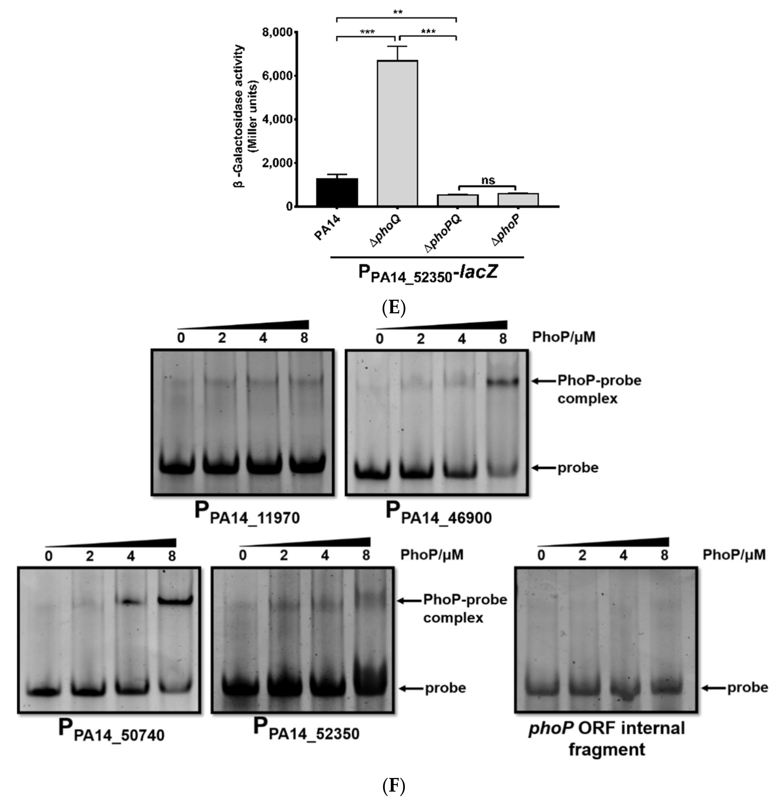 Microorganisms 09 00344 g002b