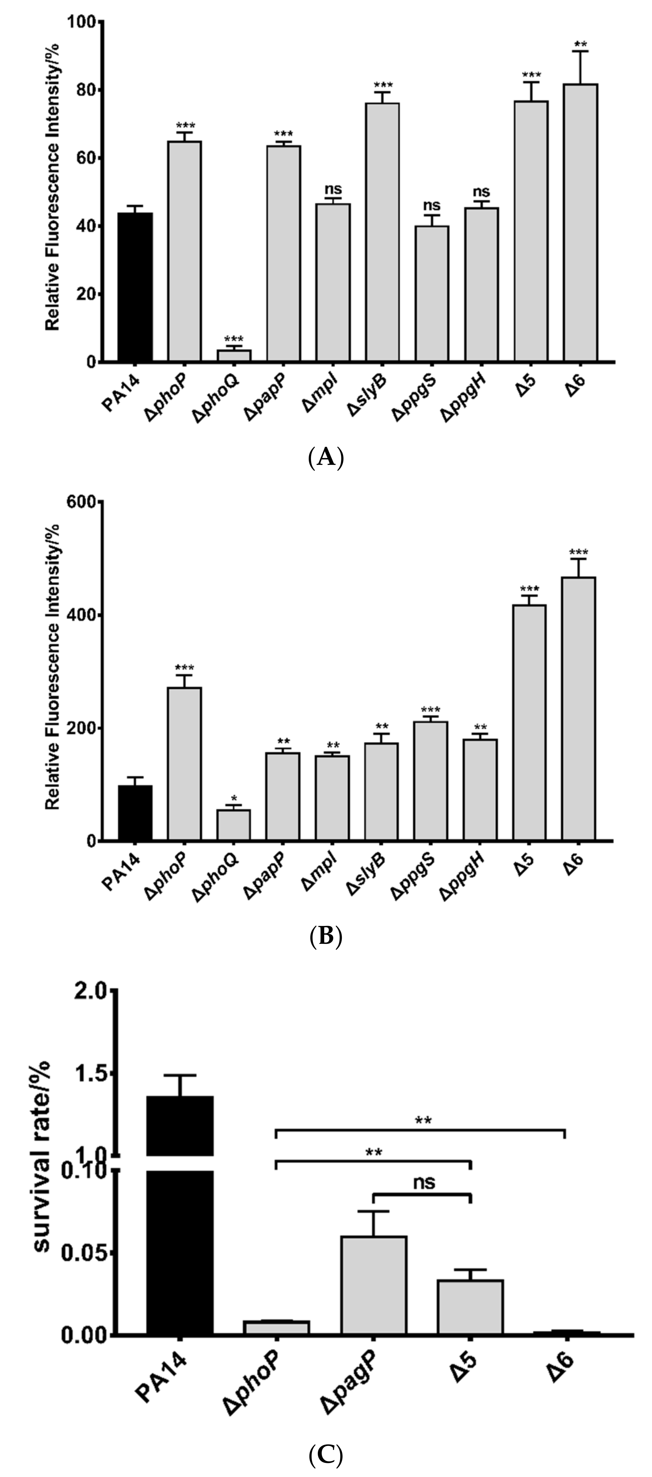 Microorganisms 09 00344 g005