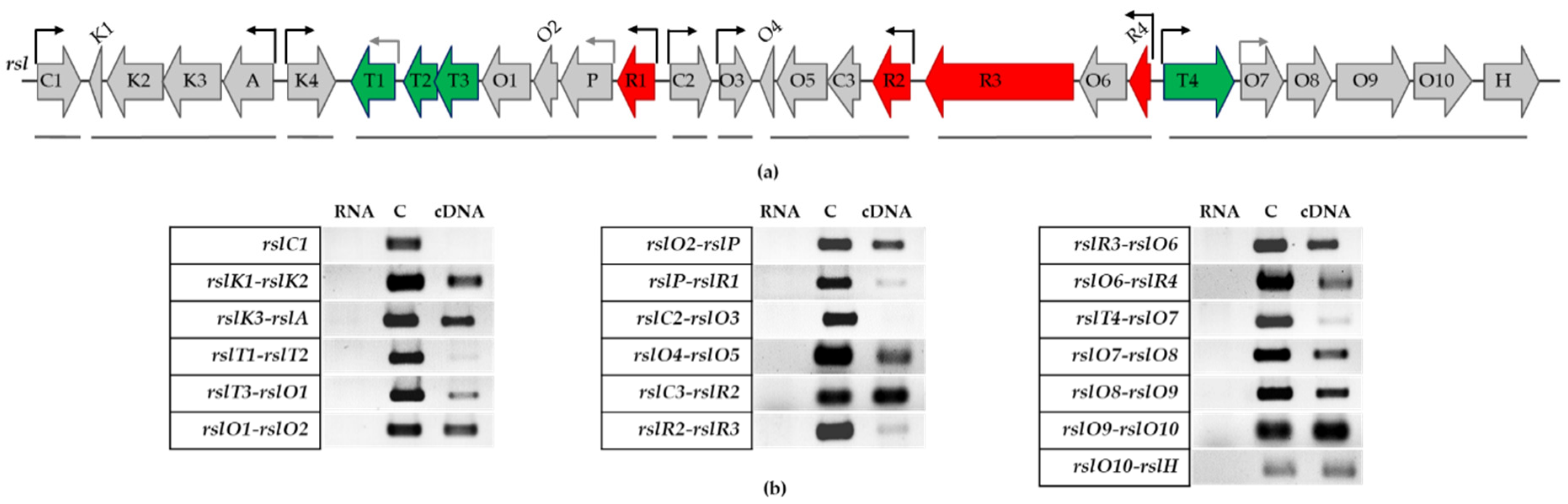Microorganisms 09 00374 g003