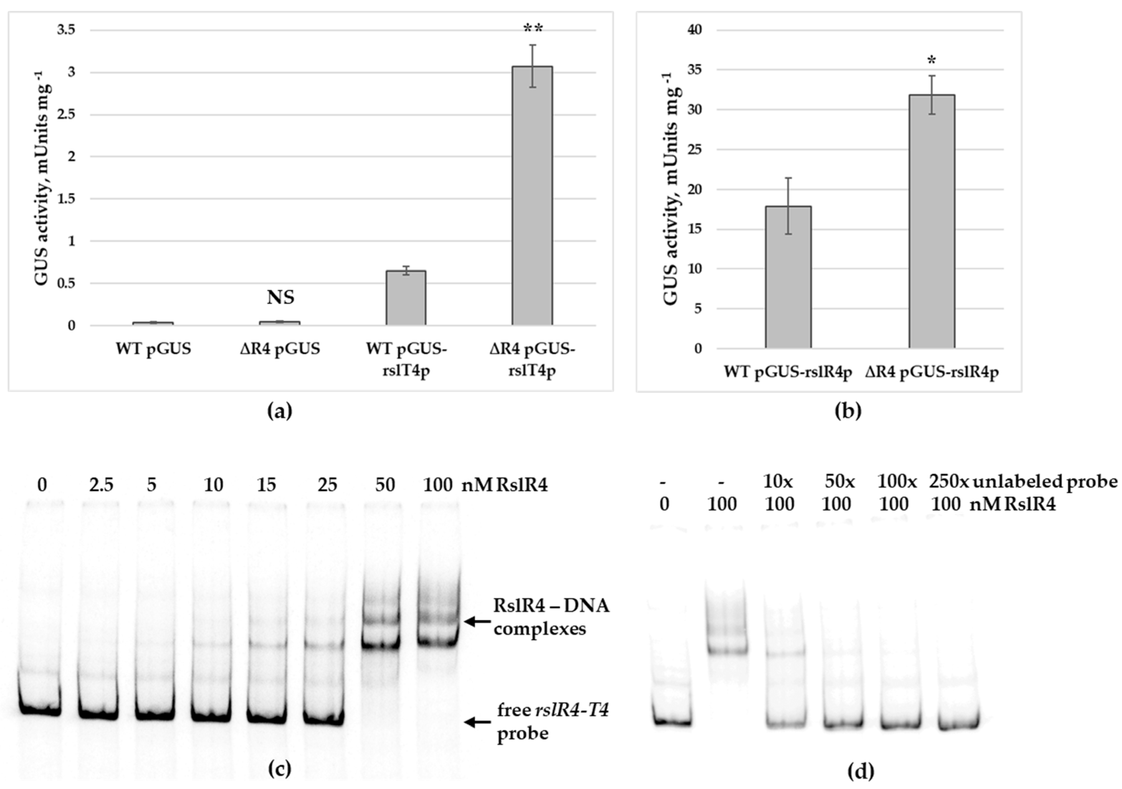 Microorganisms 09 00374 g005