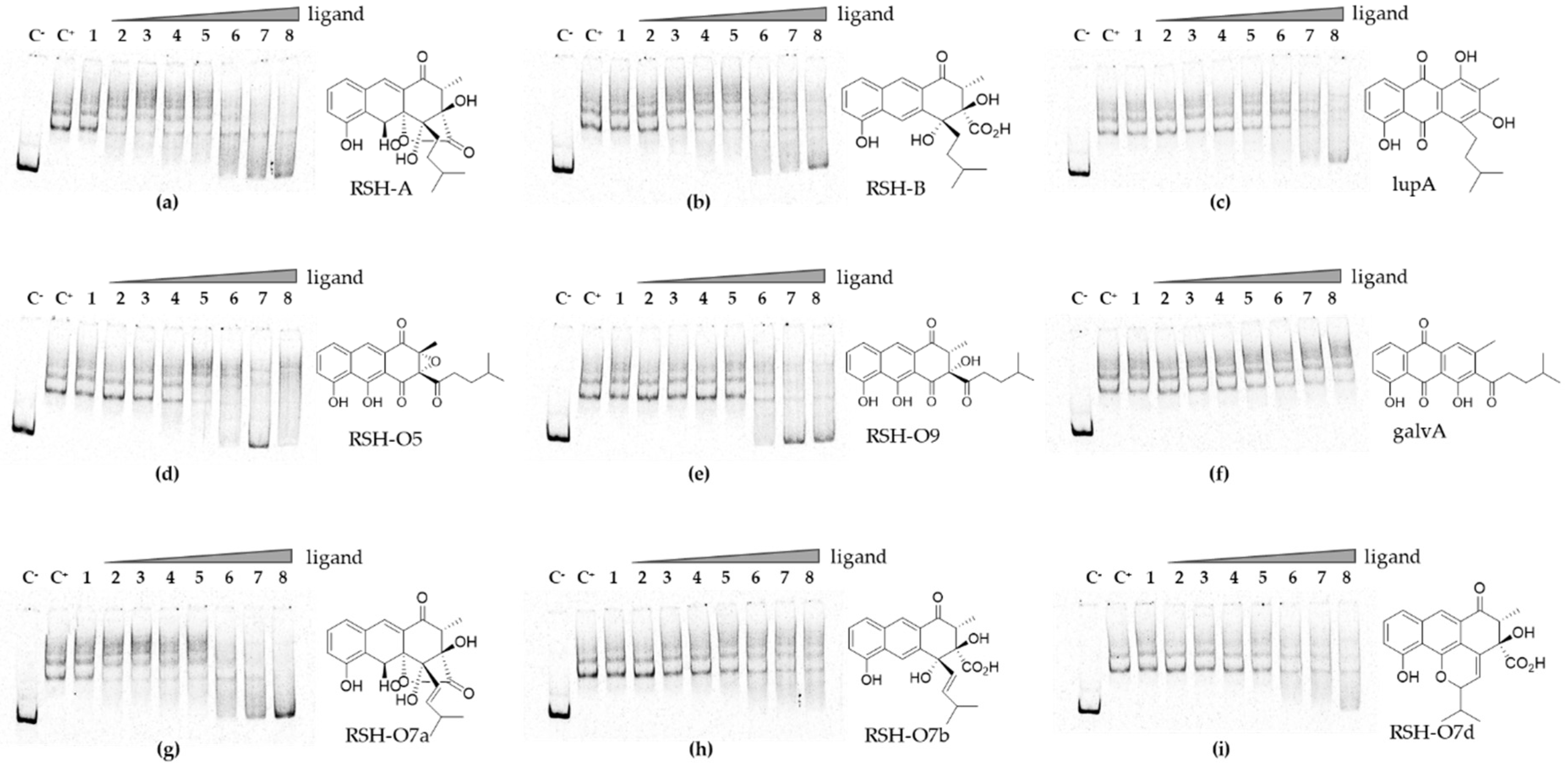 Microorganisms 09 00374 g006