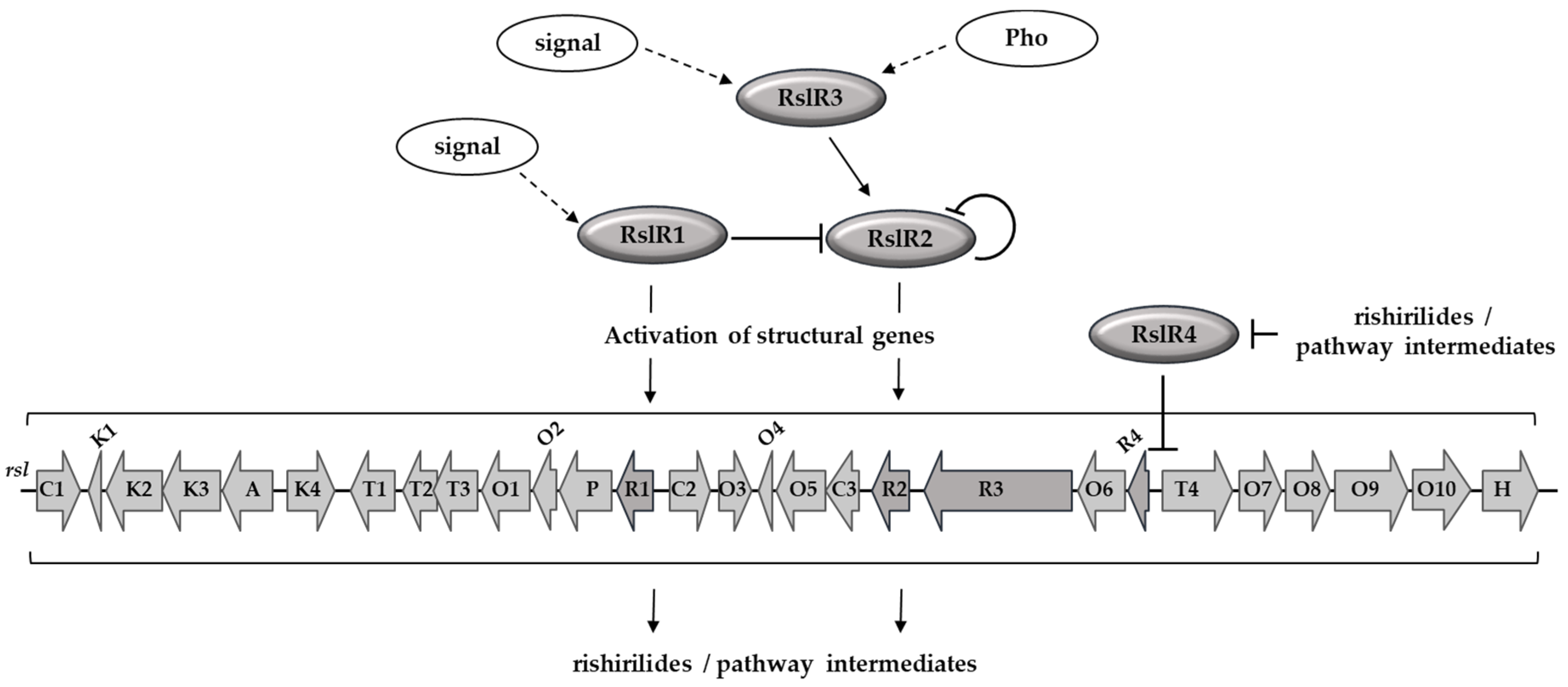 Microorganisms 09 00374 g007