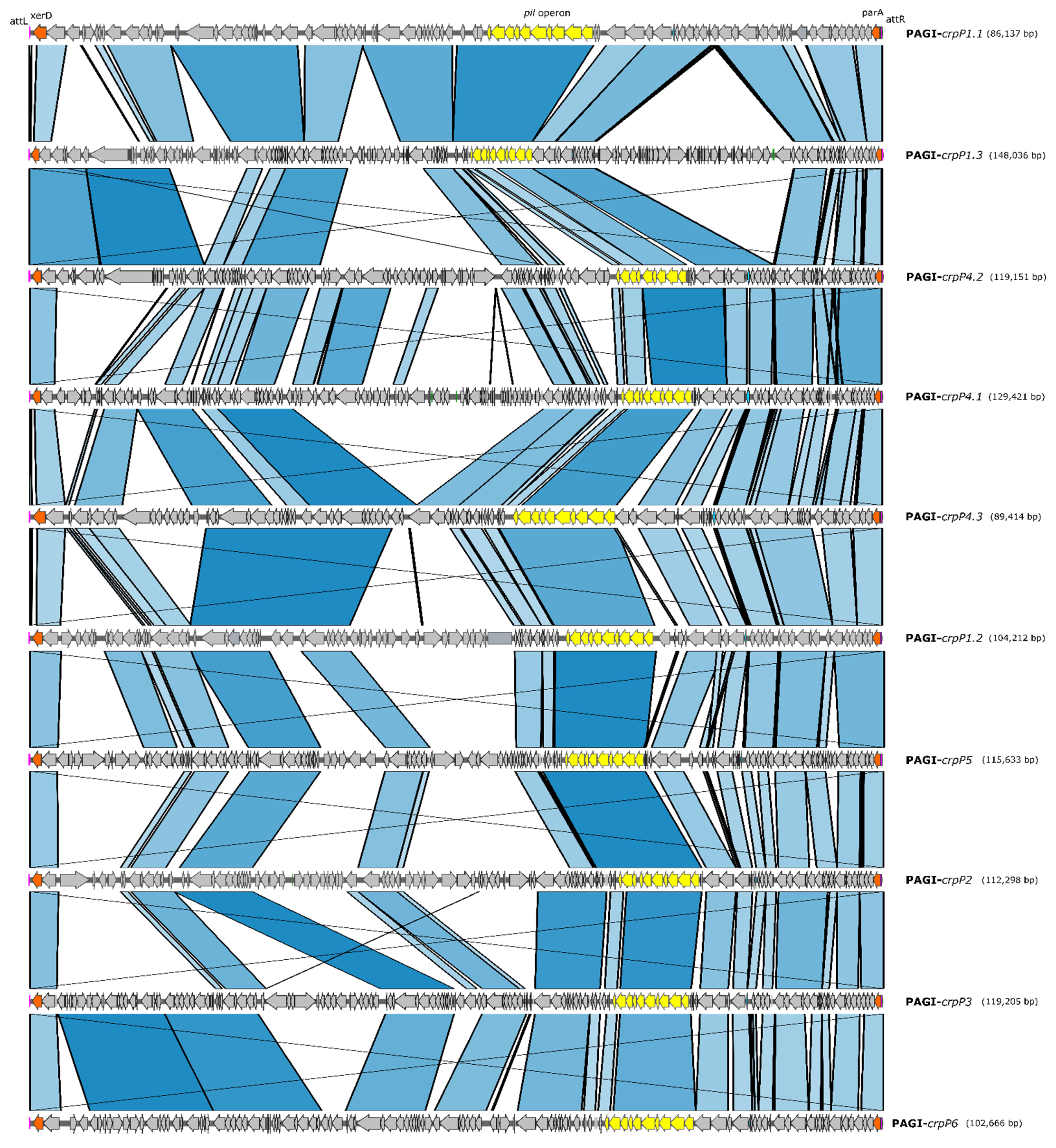 Microorganisms 09 00388 g002 Microorganisms 09 00388 g002