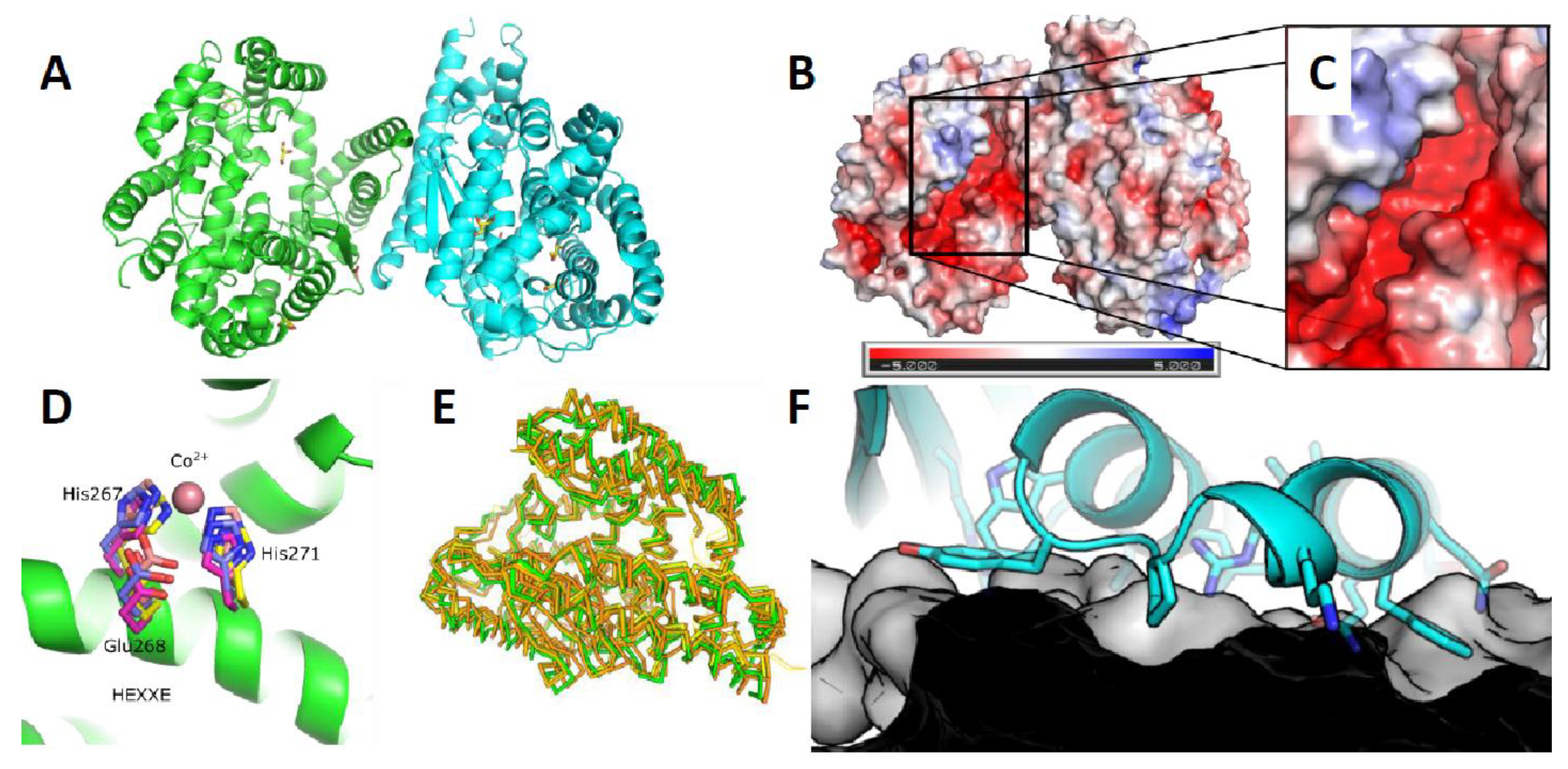 Microorganisms 09 00393 g004