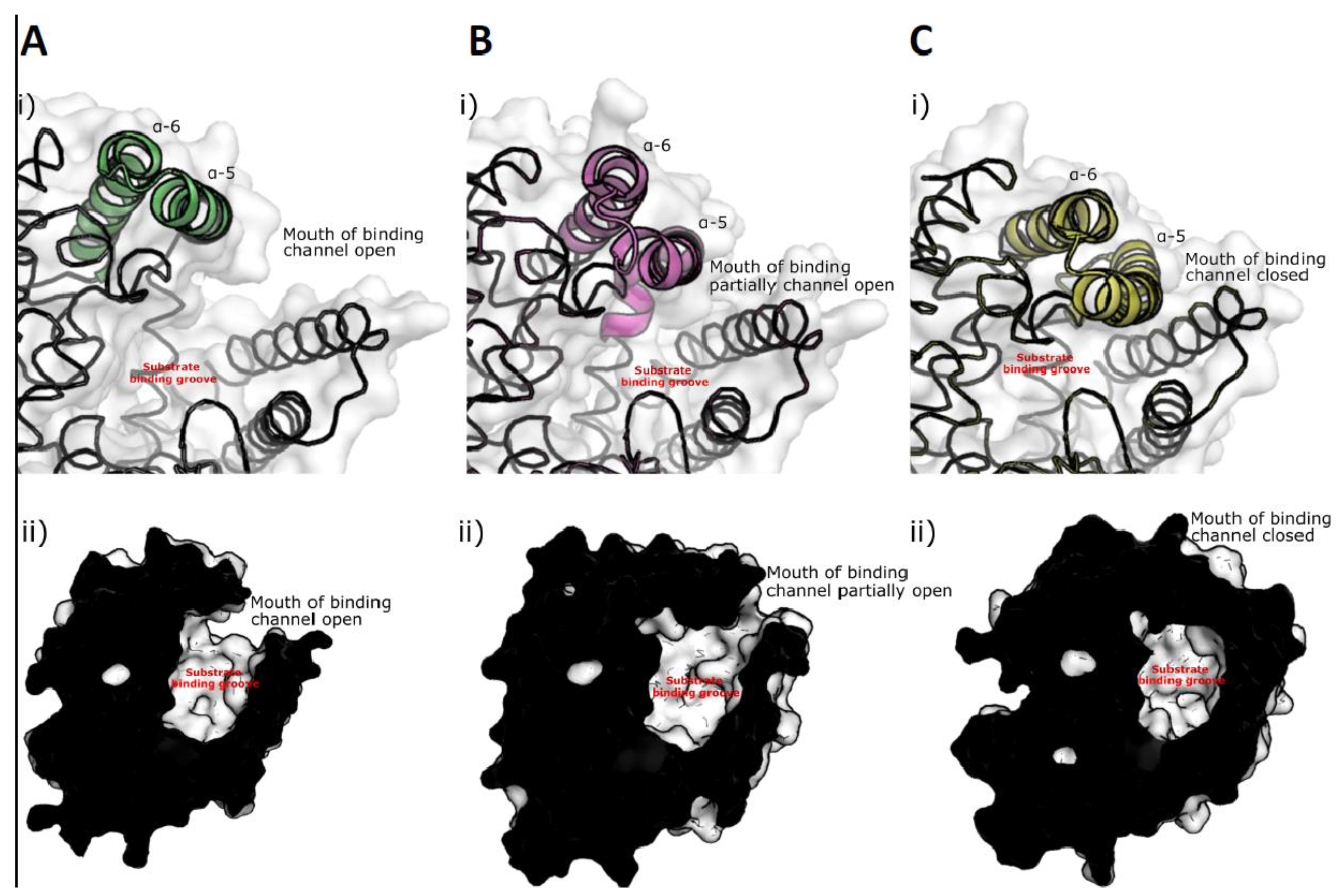 Microorganisms 09 00393 g005