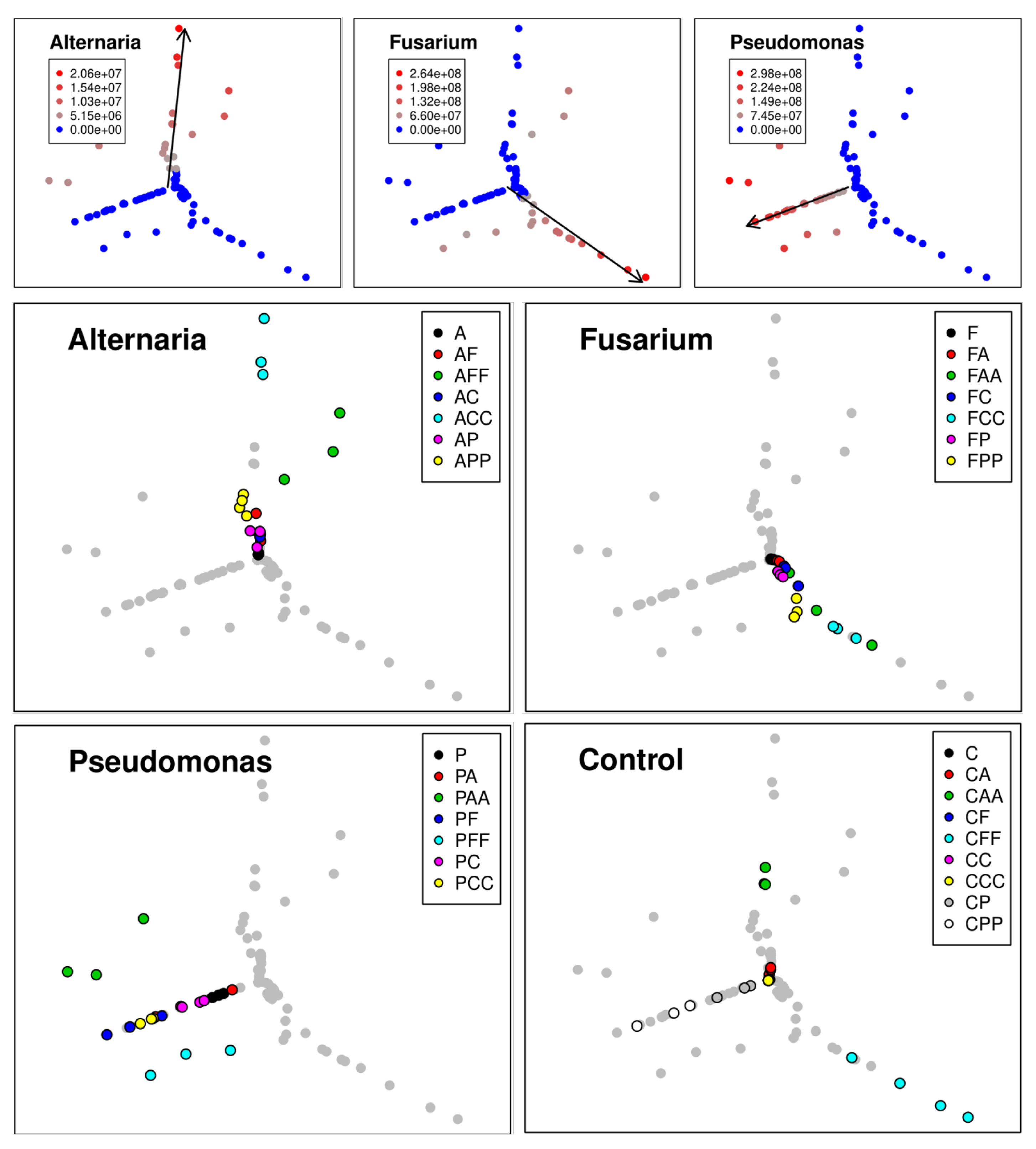 Microorganisms 09 00443 g004 Microorganisms 09 00443 g004