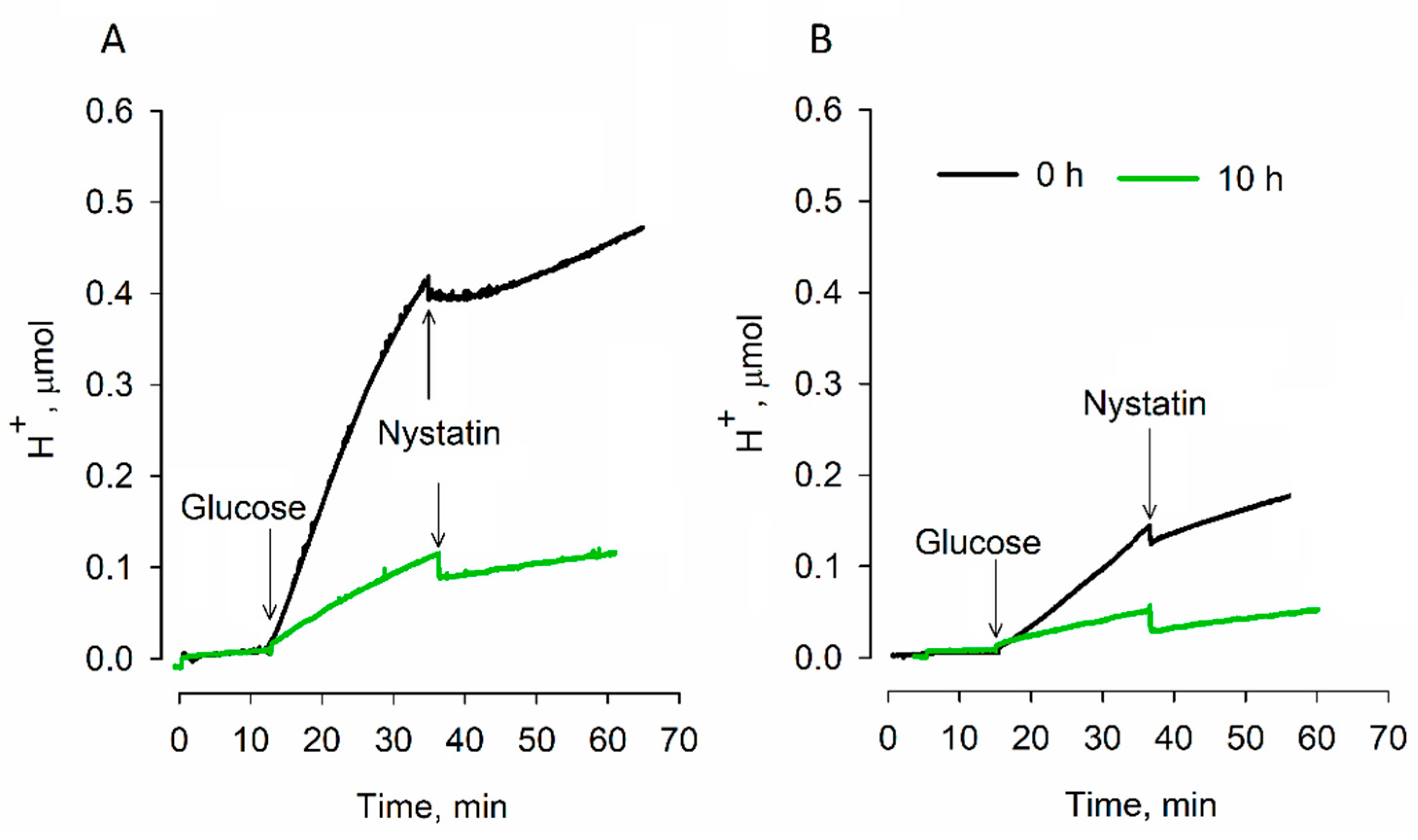 Microorganisms 09 00444 g002