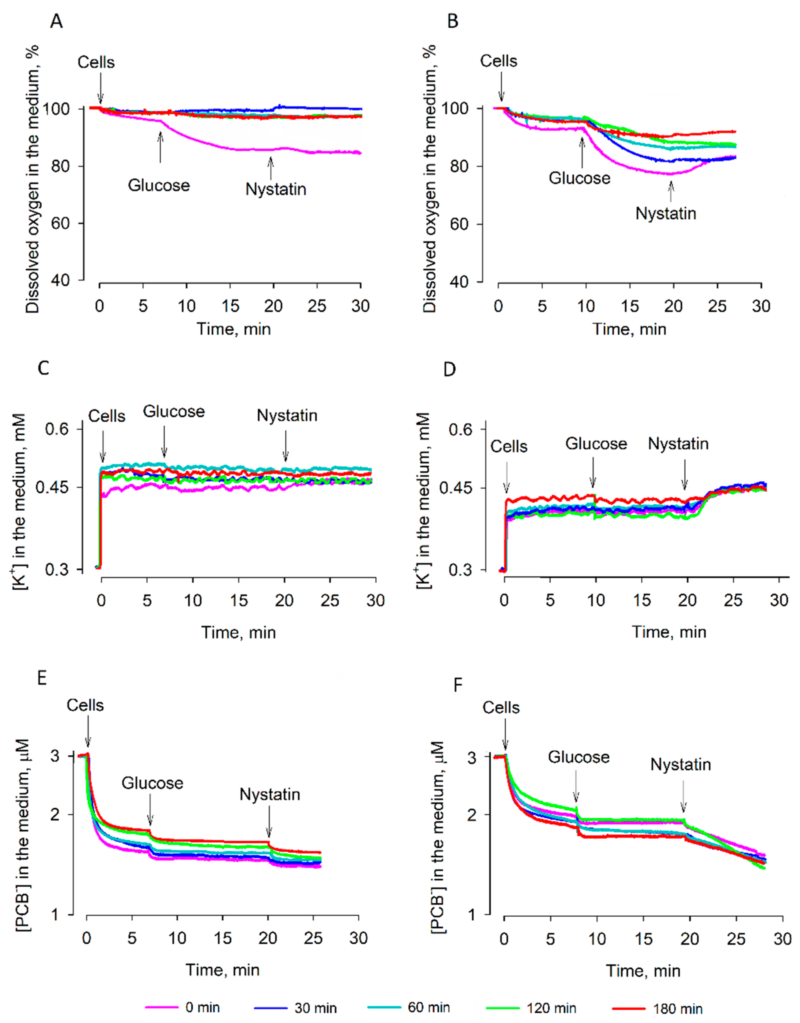 Microorganisms 09 00444 g003