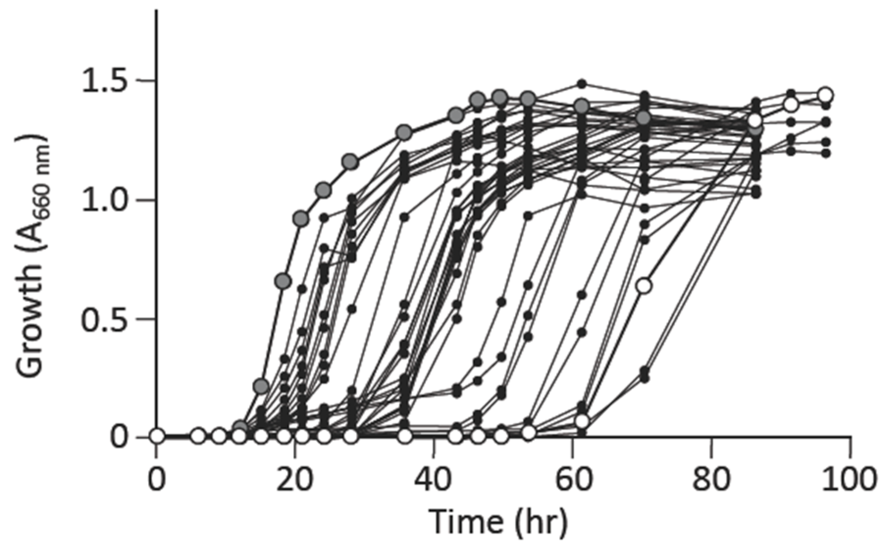 Microorganisms 09 00472 g002