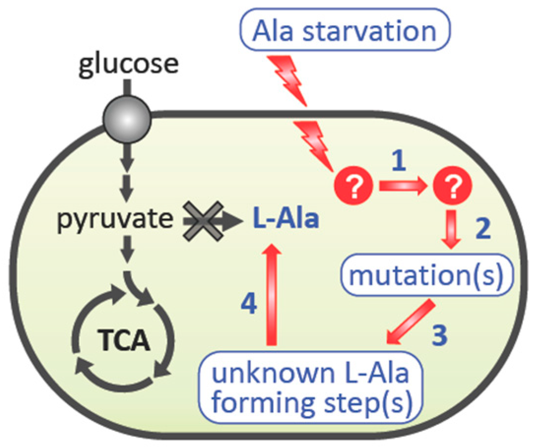 Microorganisms 09 00472 g007