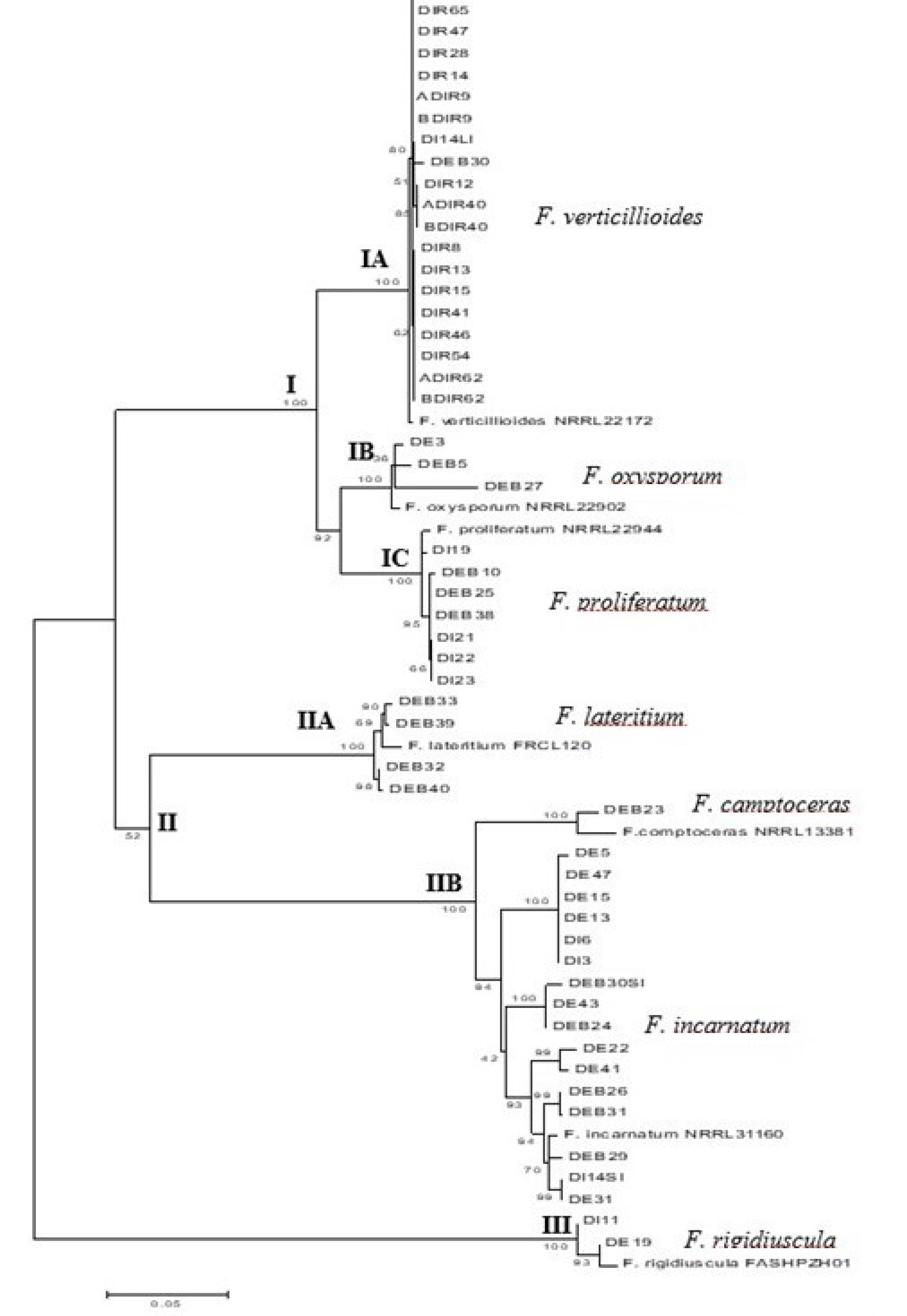 Microorganisms Free Full Text Fusarium Species In Mangrove Soil In Northern Peninsular Malaysia And The Soil Physico Chemical Properties Html