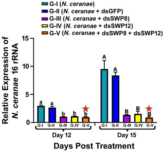 Microorganisms Free Full Text Rna Interference Mediated Knockdown Of Genes Encoding Spore Wall Proteins Confers Protection Against Nosema Ceranae Infection In The European Honey Bee Apis Mellifera Html