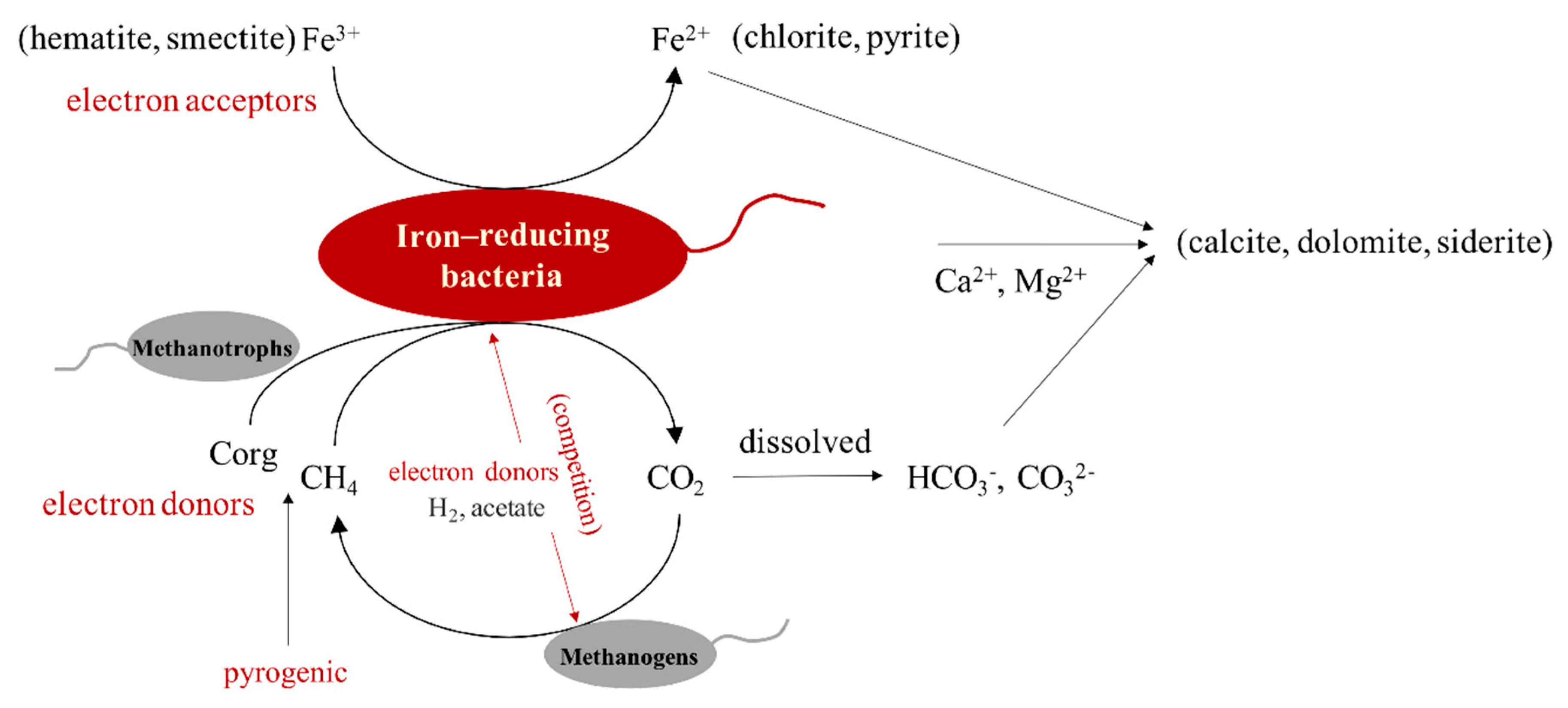 Microorganisms 09 00560 g006 Microorganisms 09 00560 g006