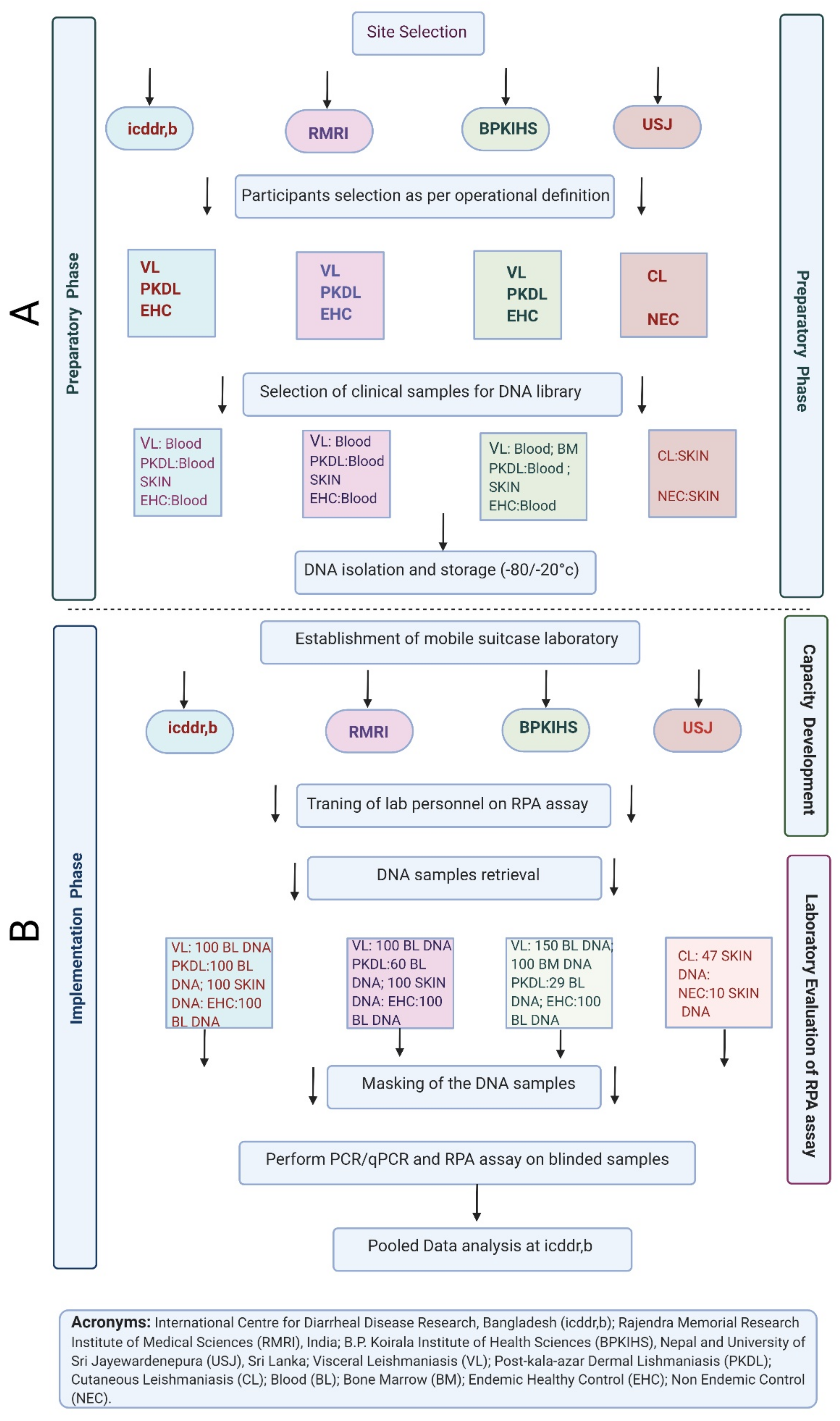 Microorganisms Free Full Text A Multi Country Single Blinded Phase 2 Study To Evaluate A Point Of Need System For Rapid Detection Of Leishmaniasis And Its Implementation In Endemic Settings Html