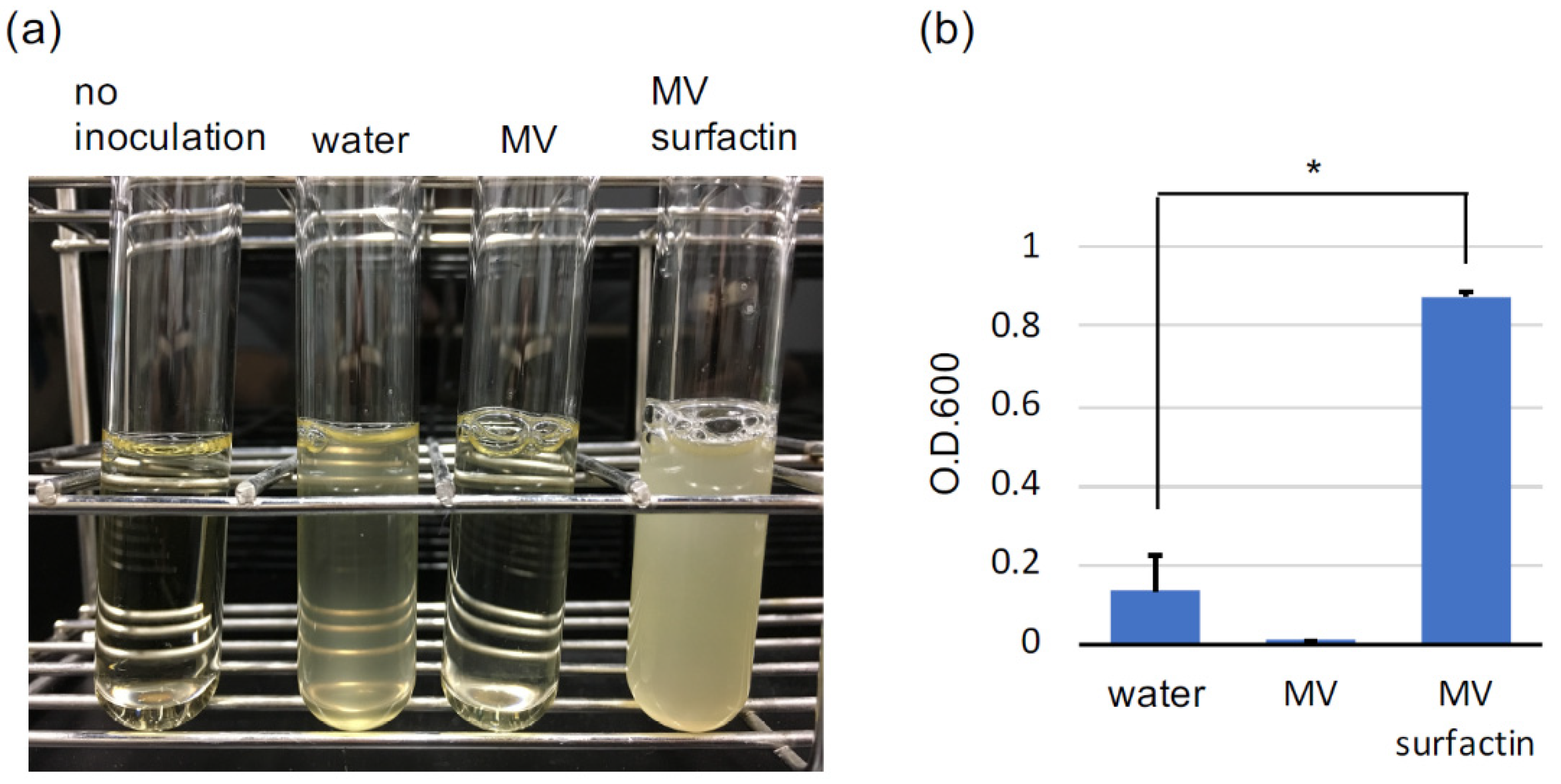 Microorganisms 09 00593 g001