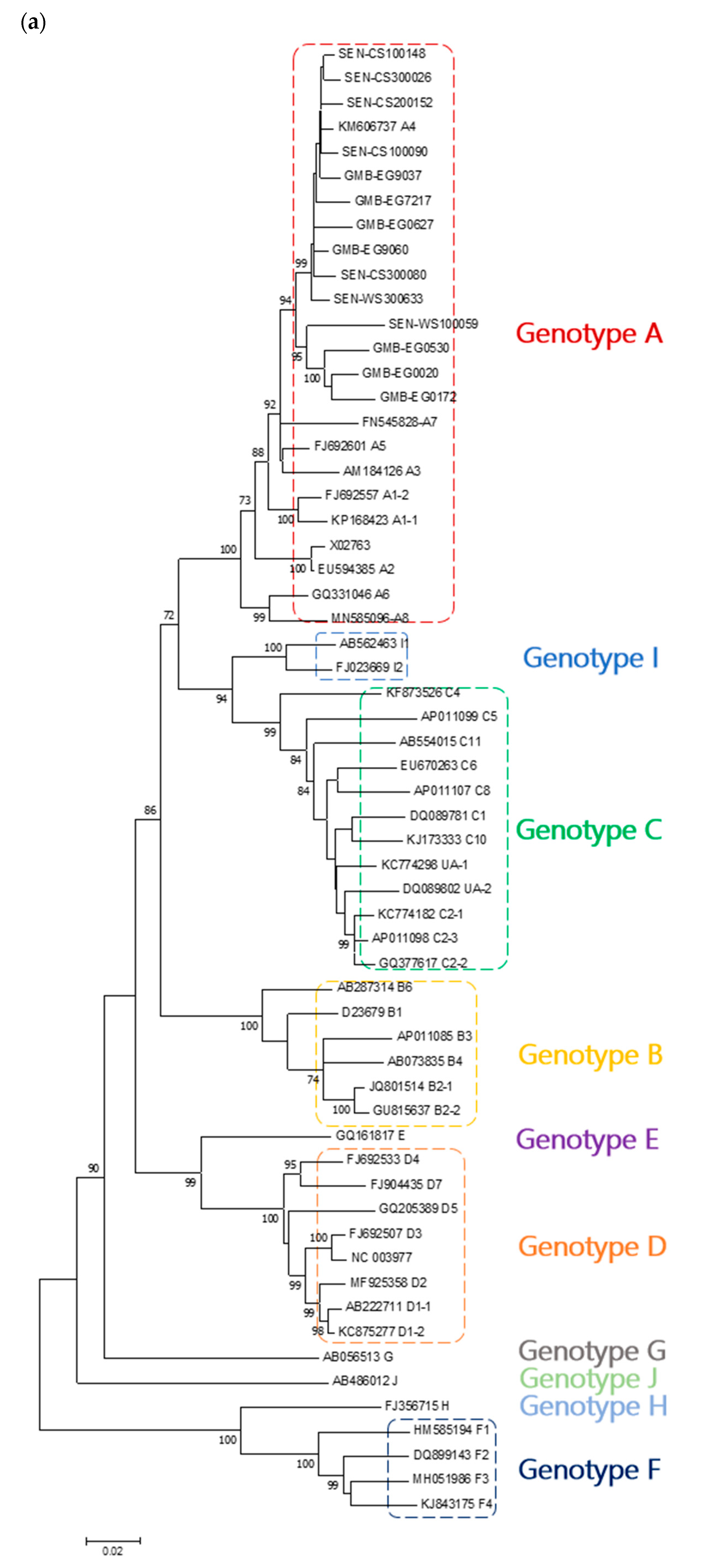 Microorganisms 09 00623 g001a Microorganisms 09 00623 g001a