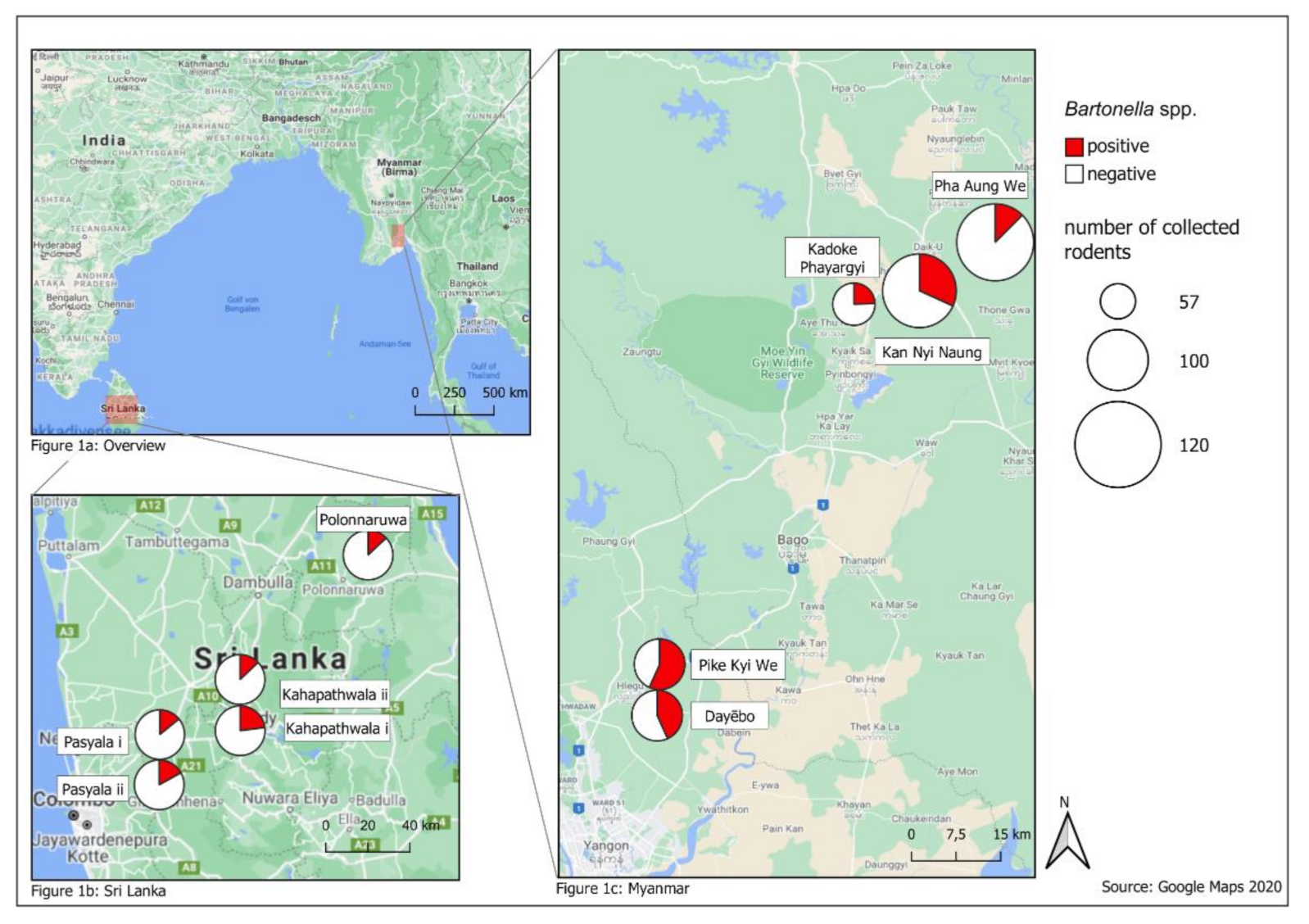 Microorganisms 09 00658 g001 Microorganisms 09 00658 g001