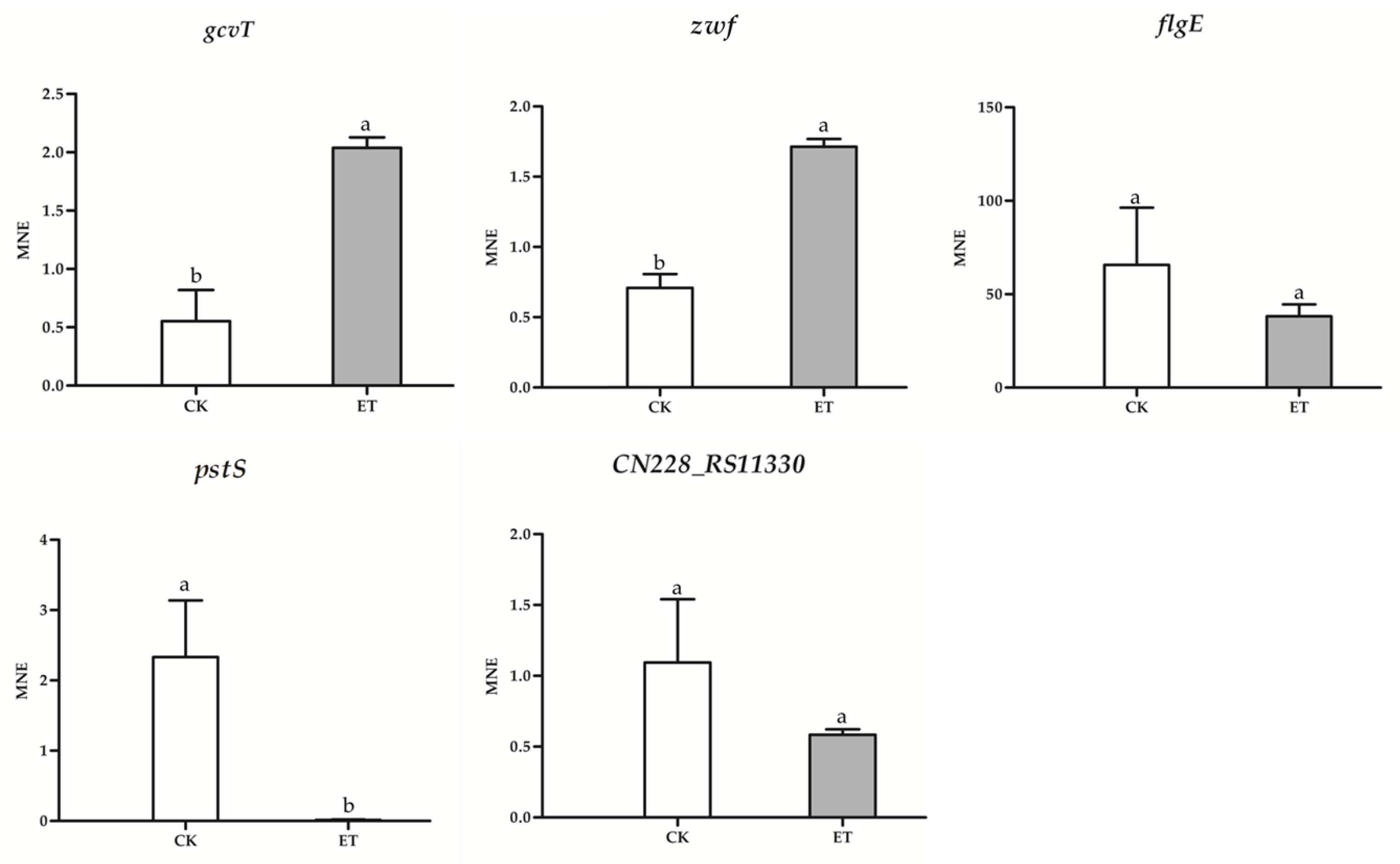 Microorganisms 09 00724 g010