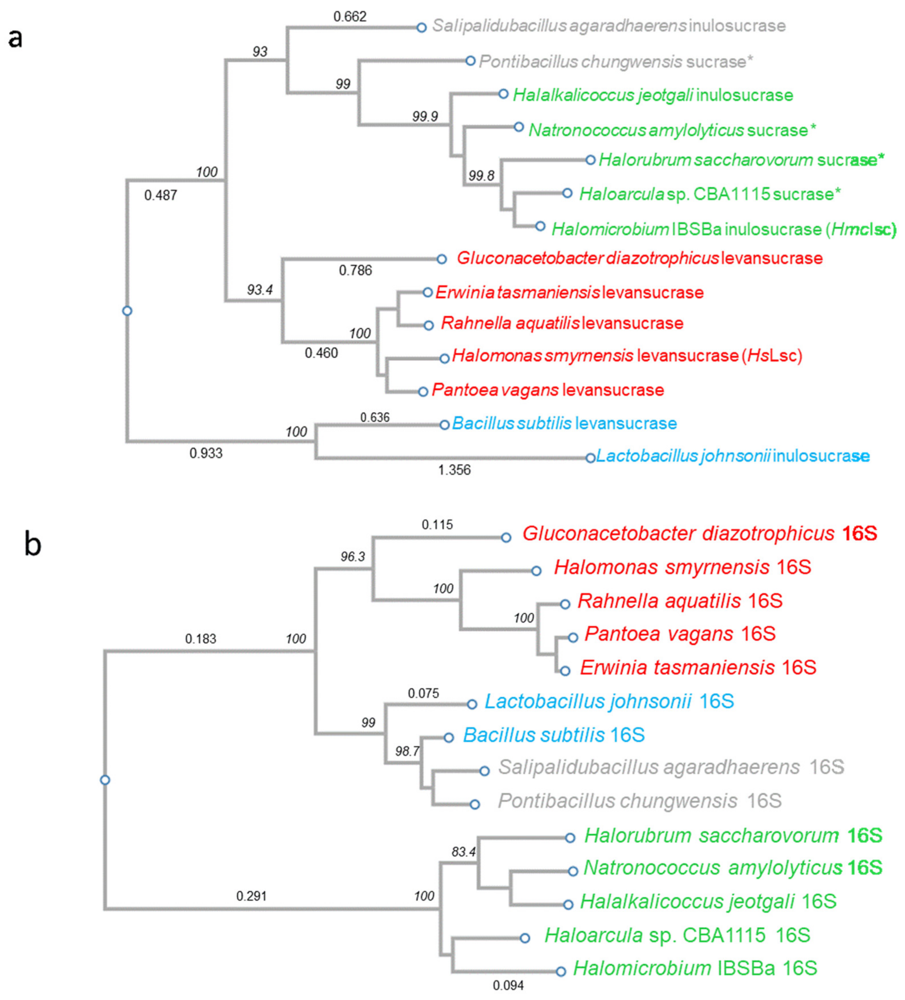 Microorganisms 09 00749 g001