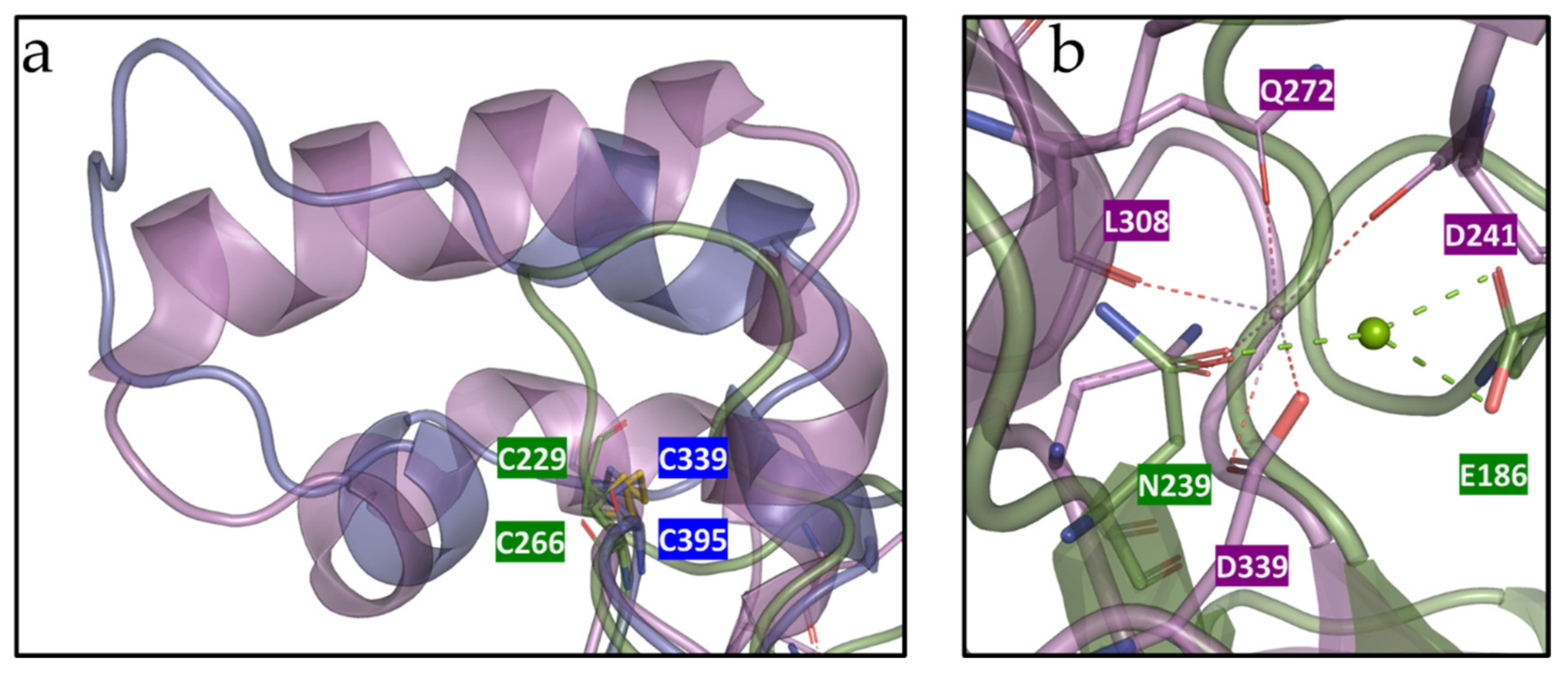 Microorganisms 09 00749 g008