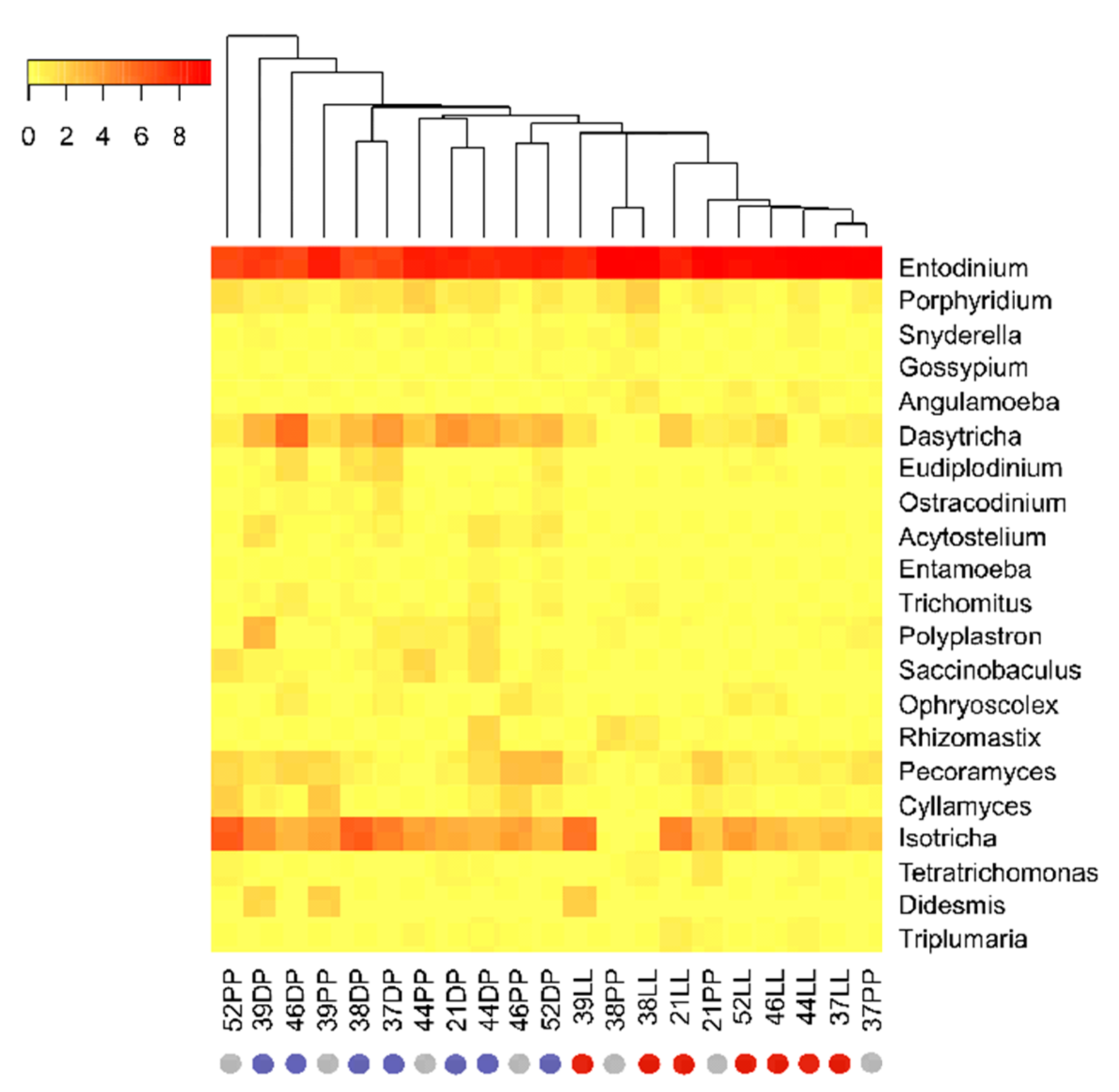 Microorganisms 09 00754 g005 Microorganisms 09 00754 g005