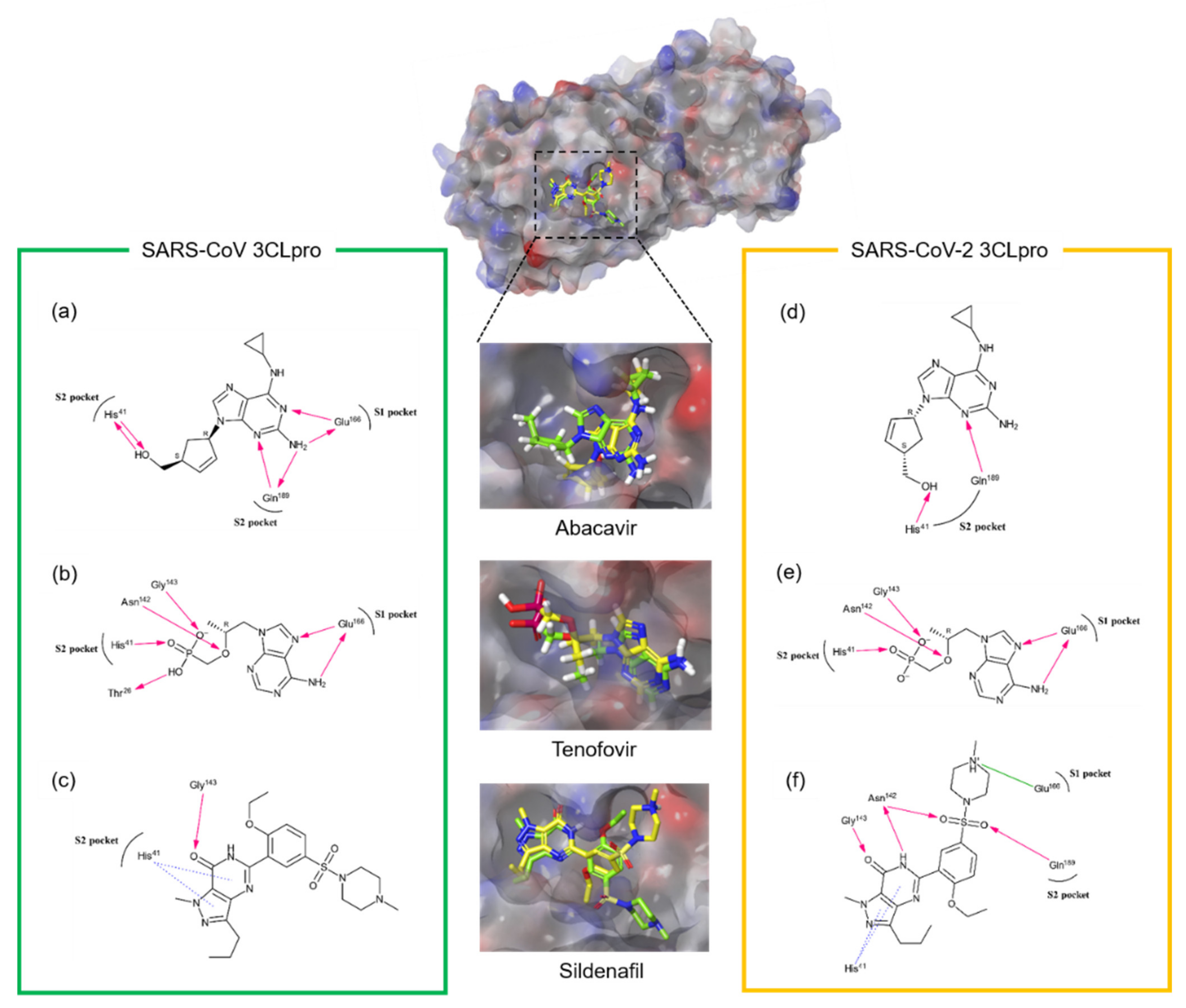Microorganisms 09 00756 g003