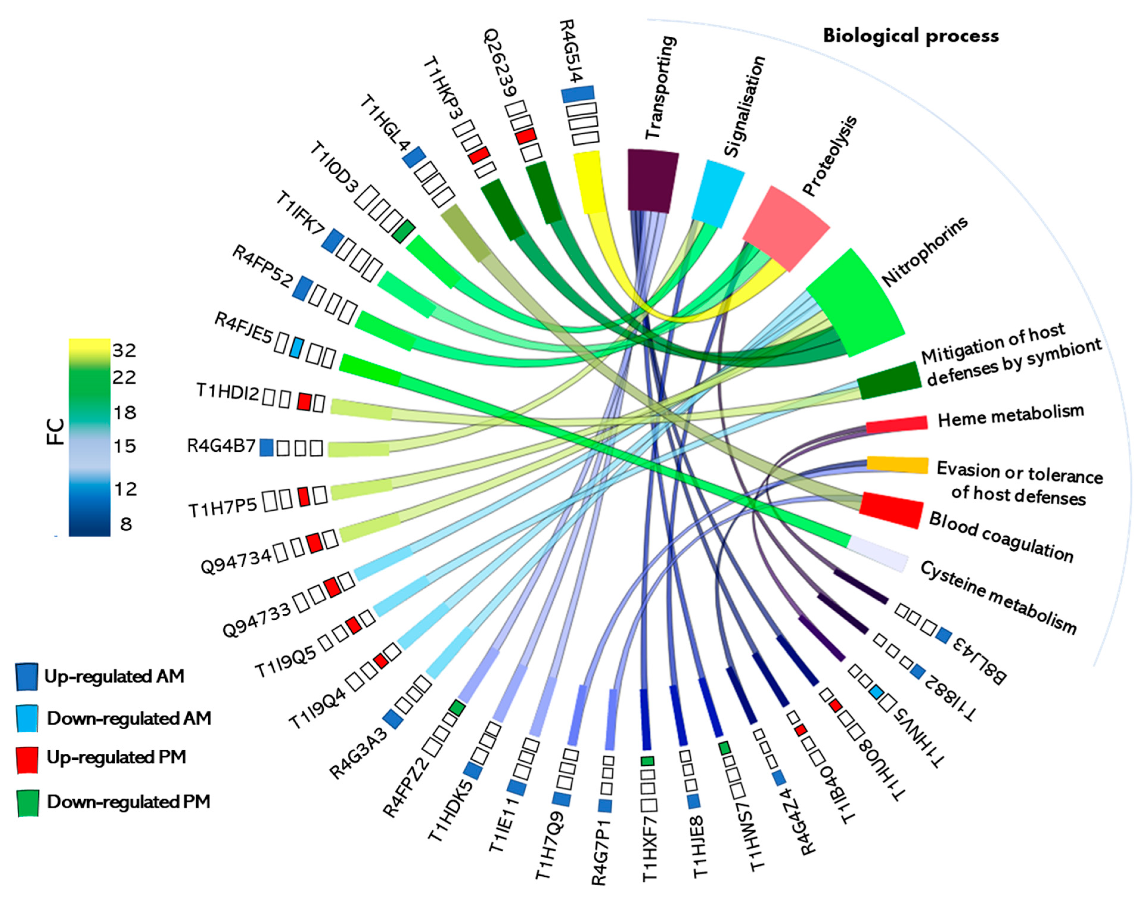 Microorganisms Free Full Text Early Post Prandial Regulation