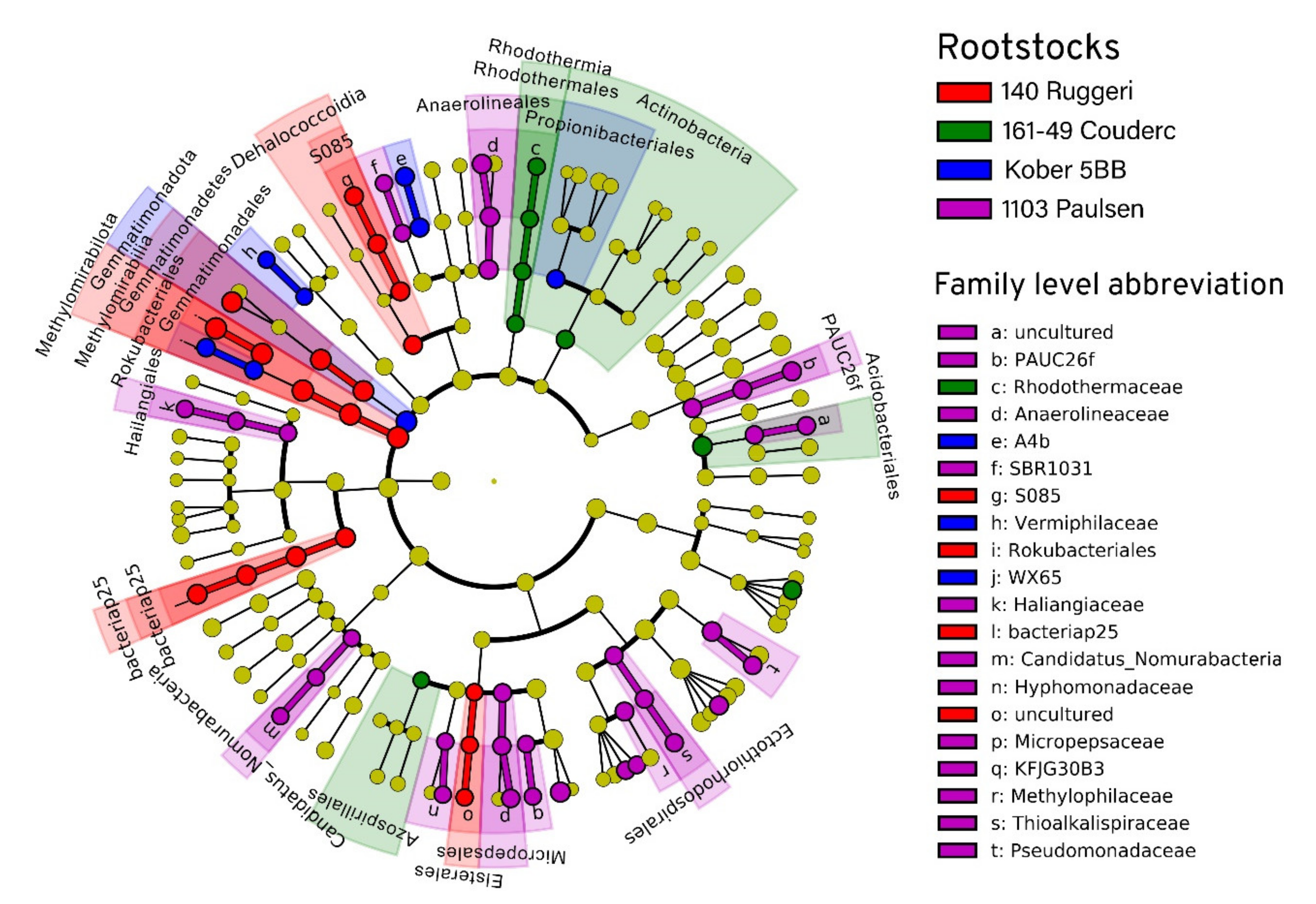 Microorganisms Free Full Text Rootstocks Shape Their Microbiome Bacterial Communities In The Rhizosphere Of Different Grapevine Rootstocks Html