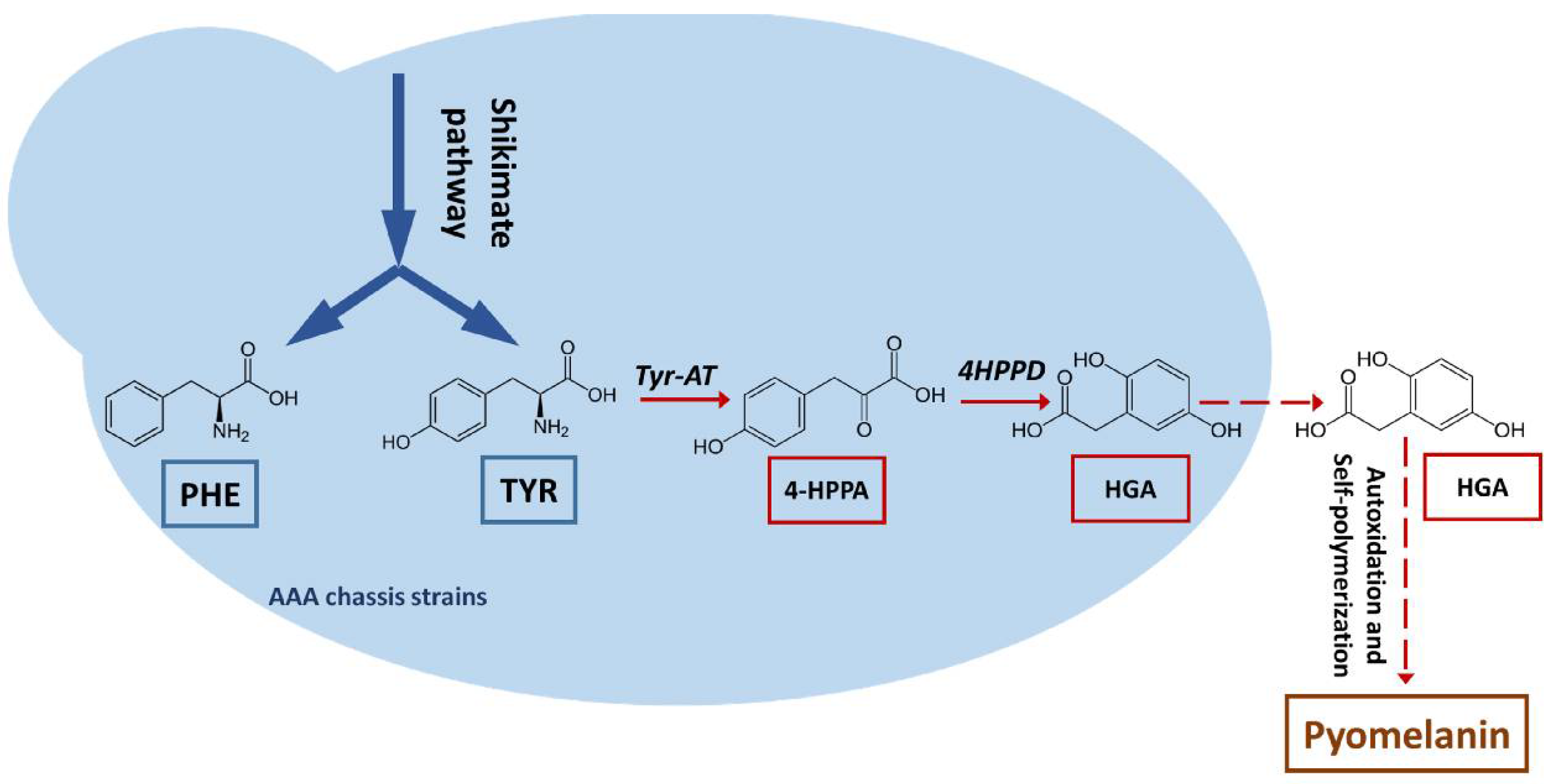 Microorganisms 09 00838 g001