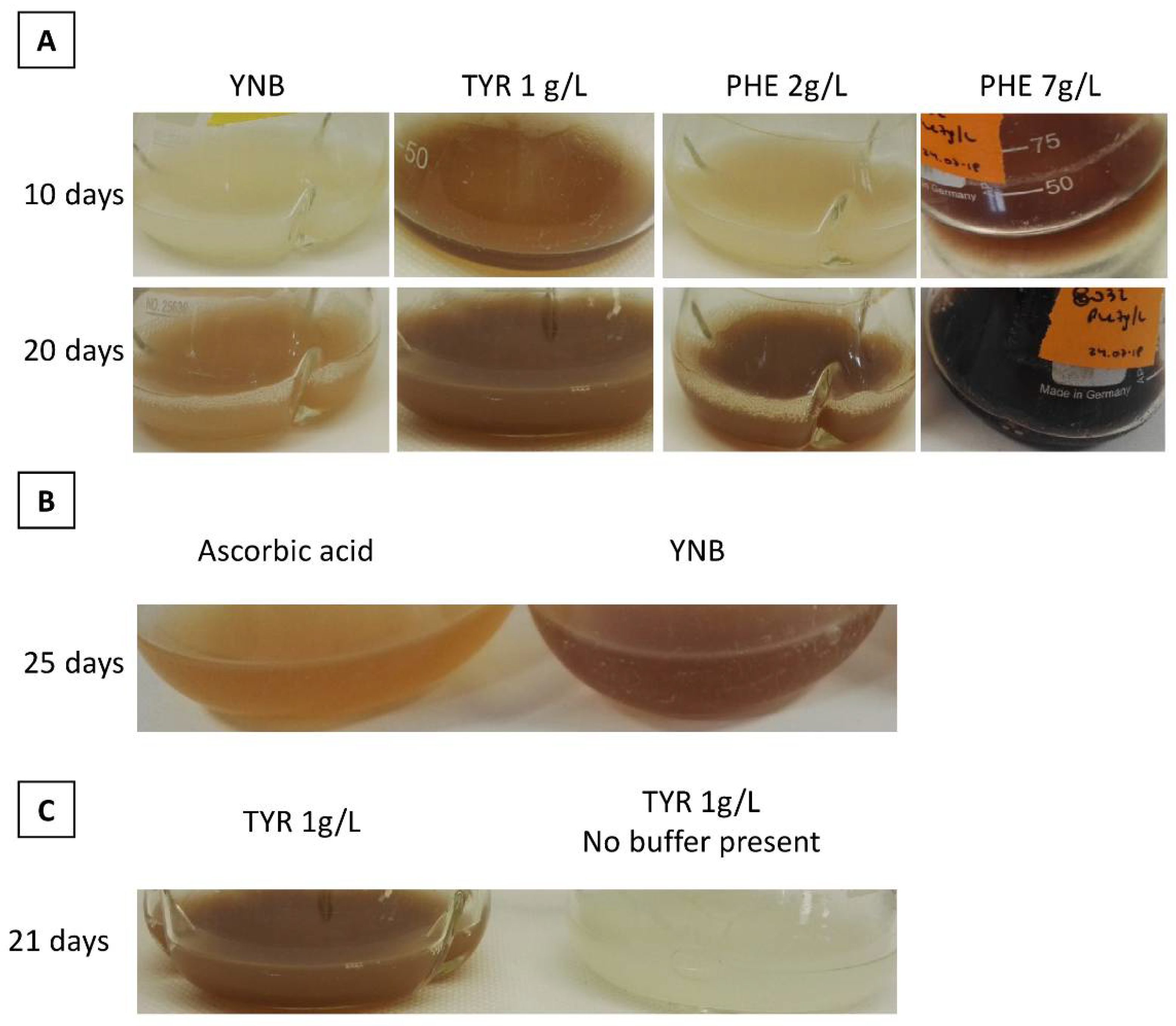 Microorganisms 09 00838 g003