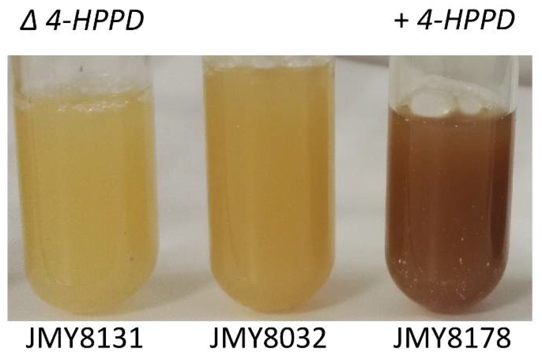Microorganisms 09 00838 g004