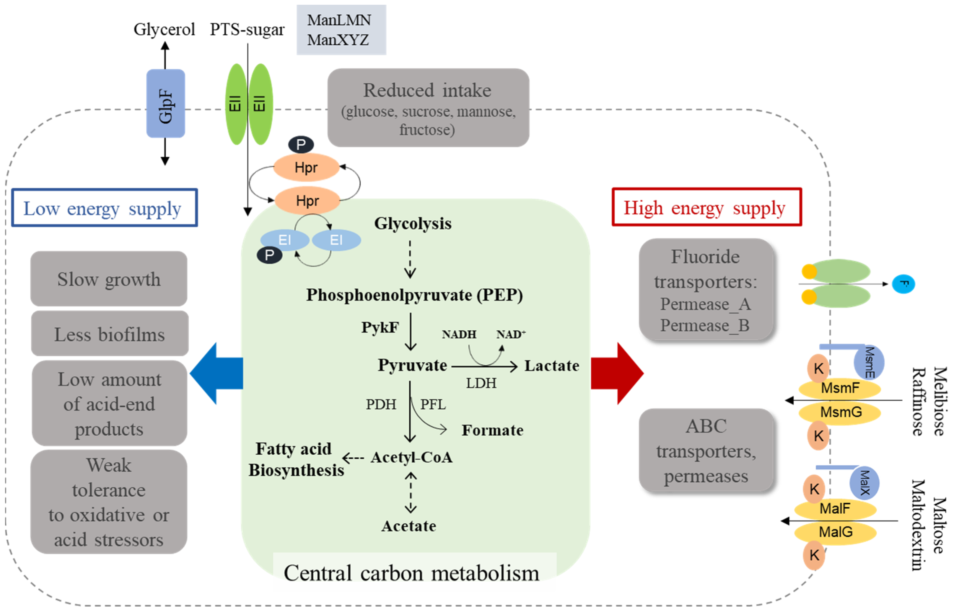 Microorganisms 09 00849 g008