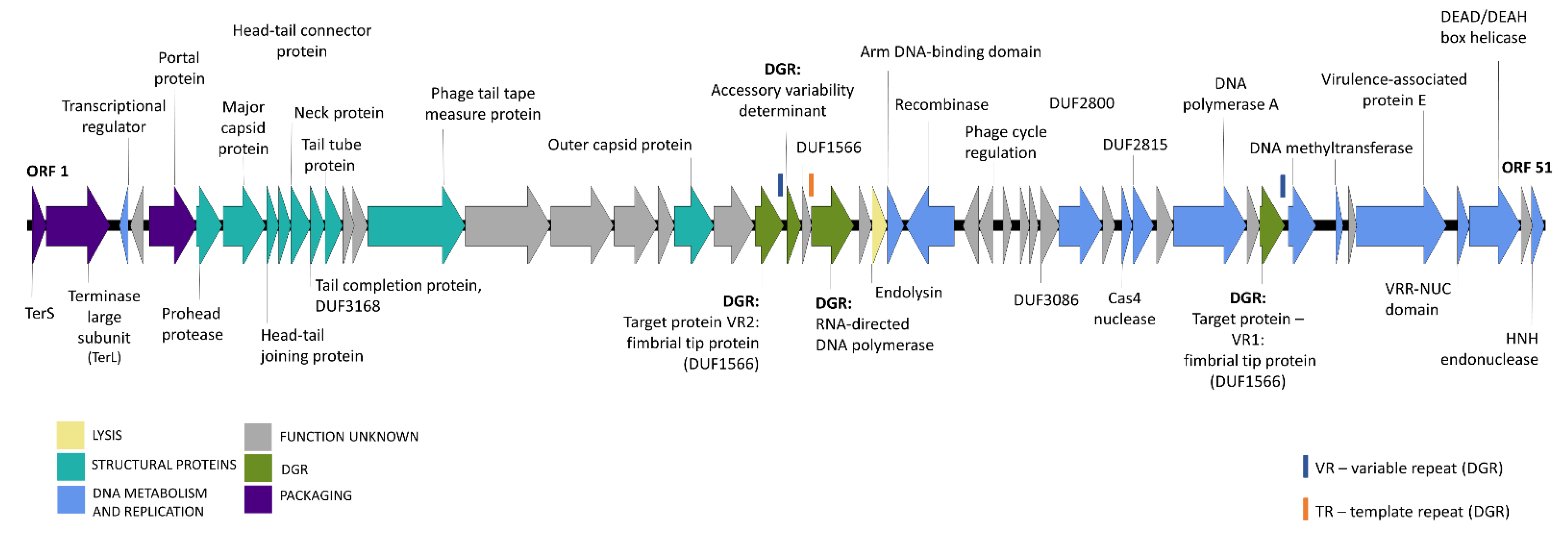 Microorganisms 09 00892 g002