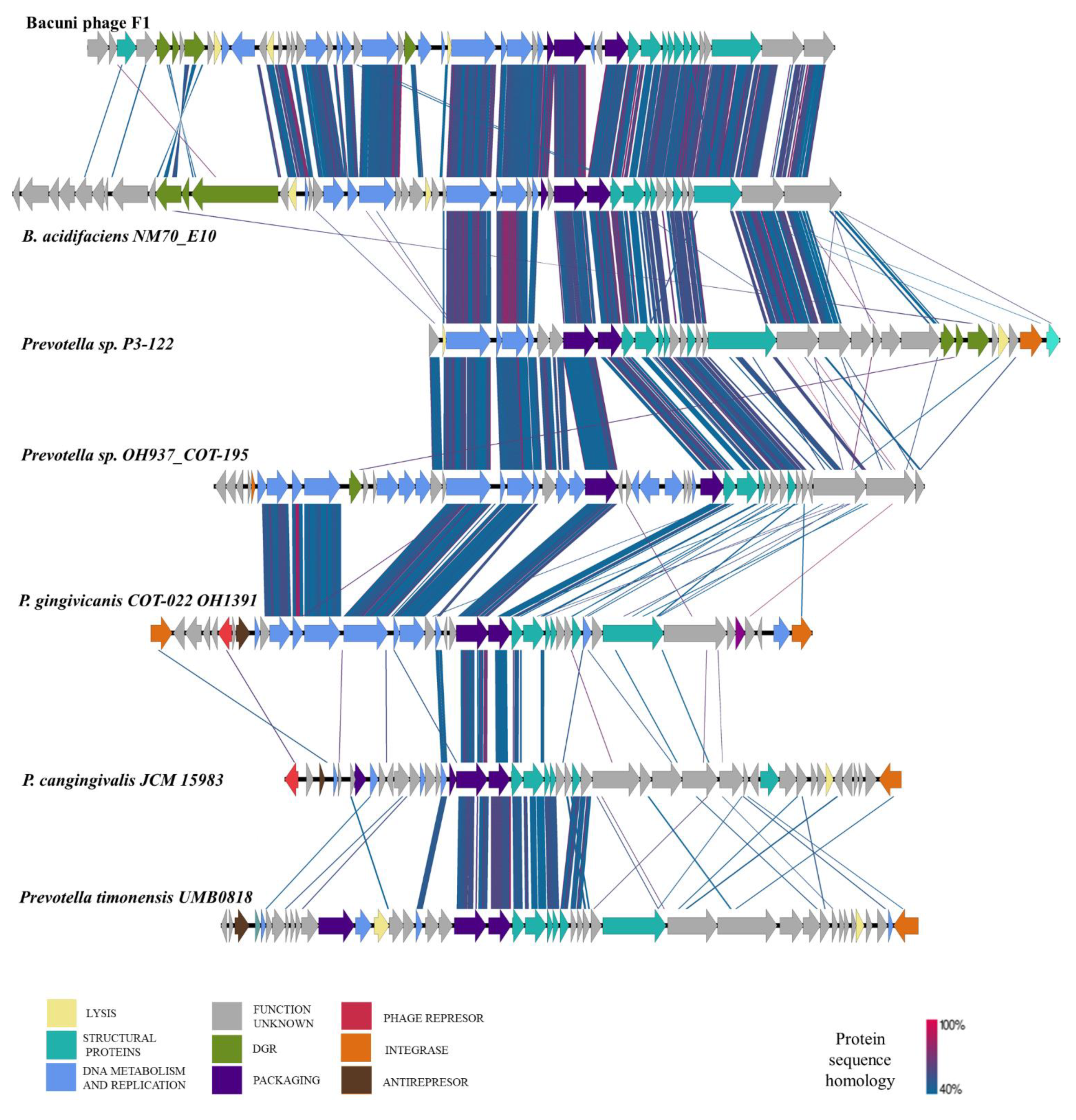 Microorganisms 09 00892 g004