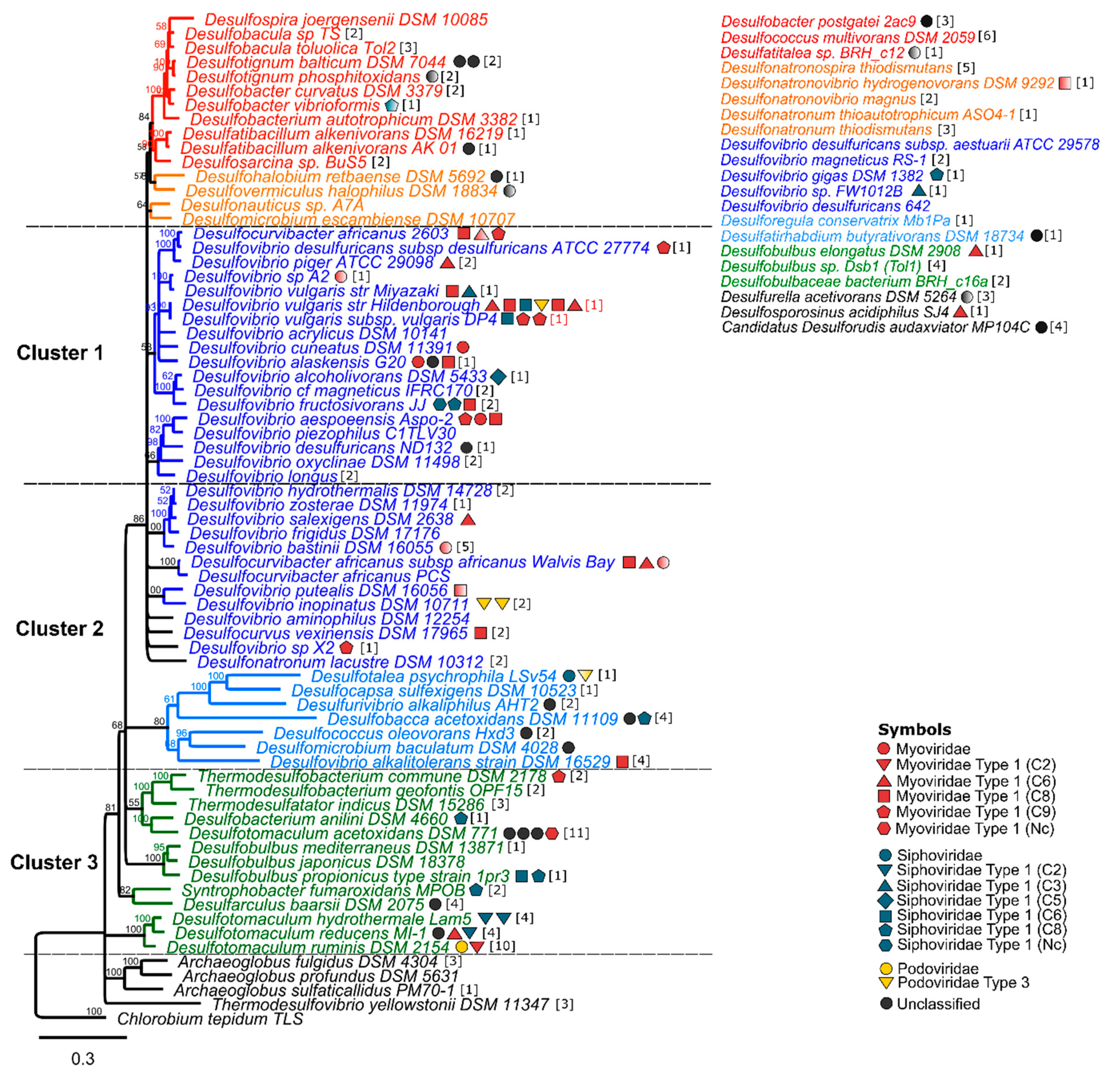 Microorganisms 09 00931 g001