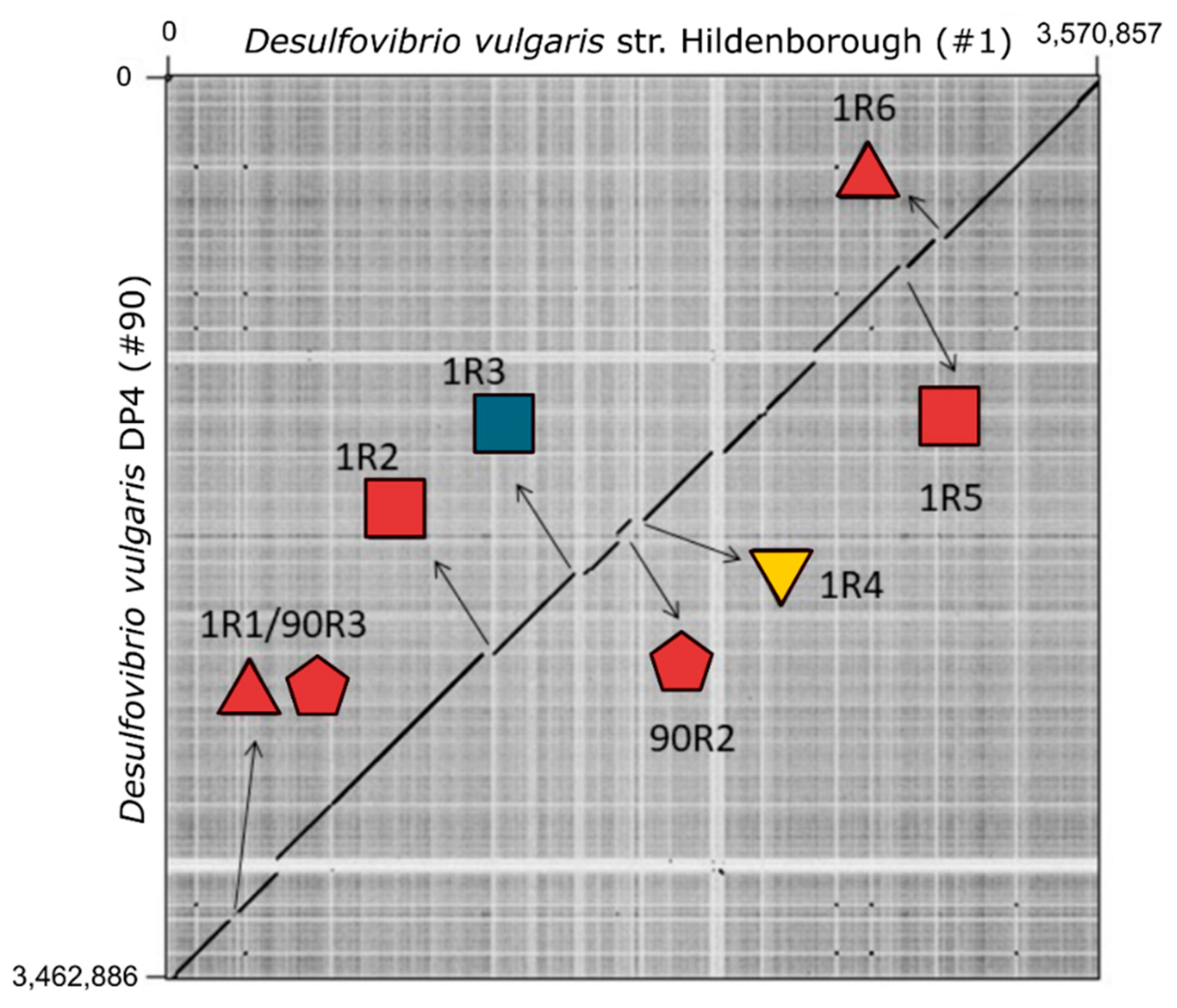 Microorganisms 09 00931 g007