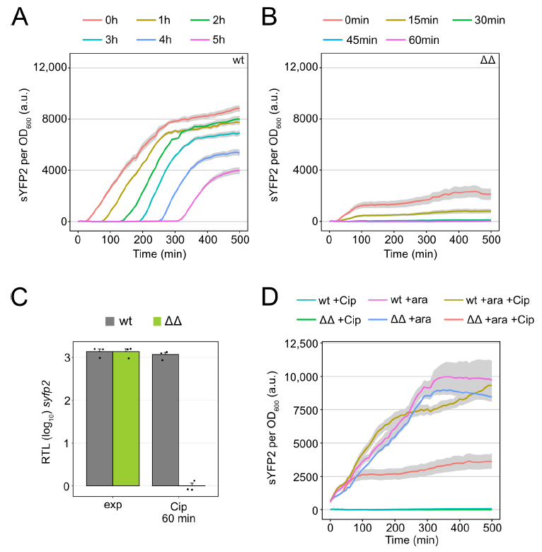 Microorganisms 09 00943 g003